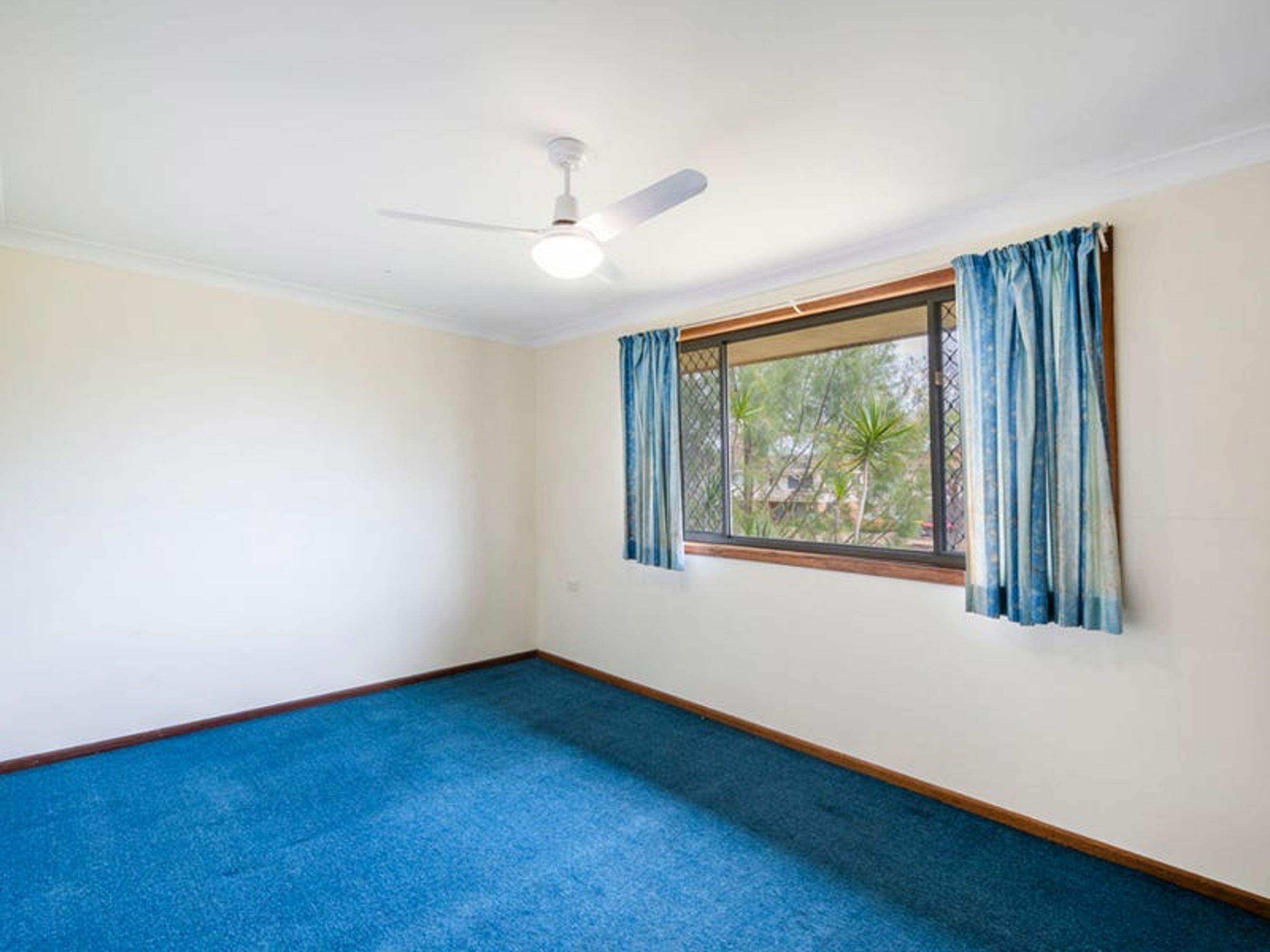 44 Howe Street, Grafton - Thumbnail 5