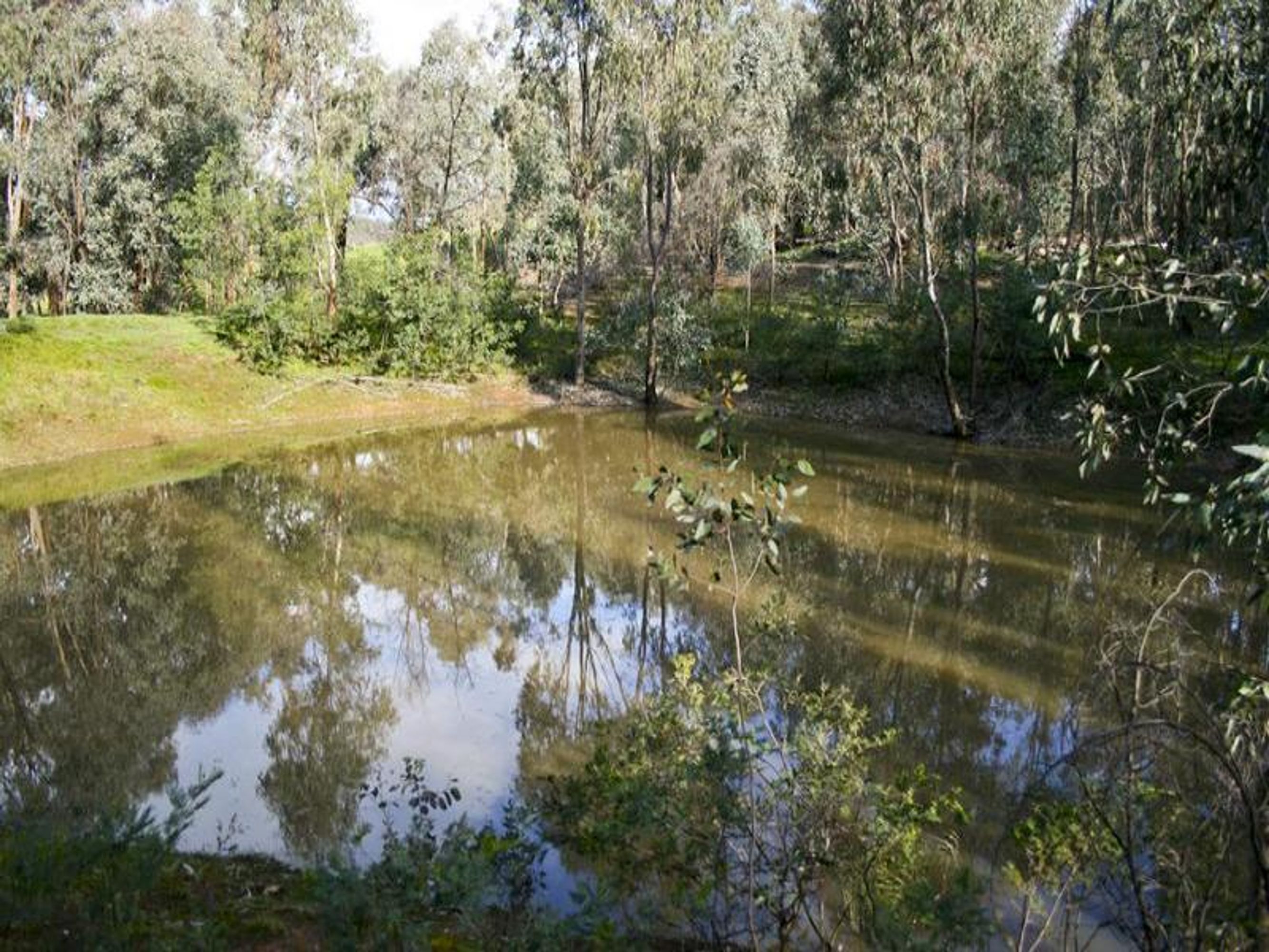 benalla, Benalla - Thumbnail 5