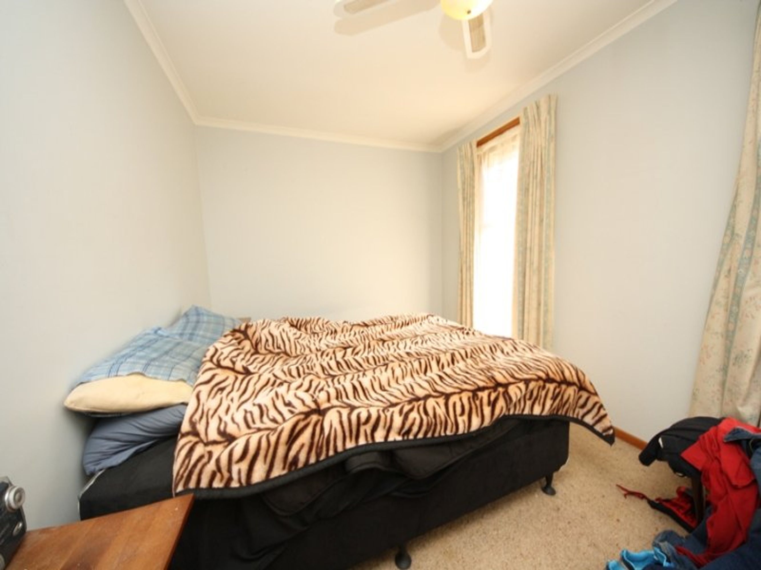 5 Felstead Avenue, Horsham VIC 3400, Horsham - Thumbnail 6
