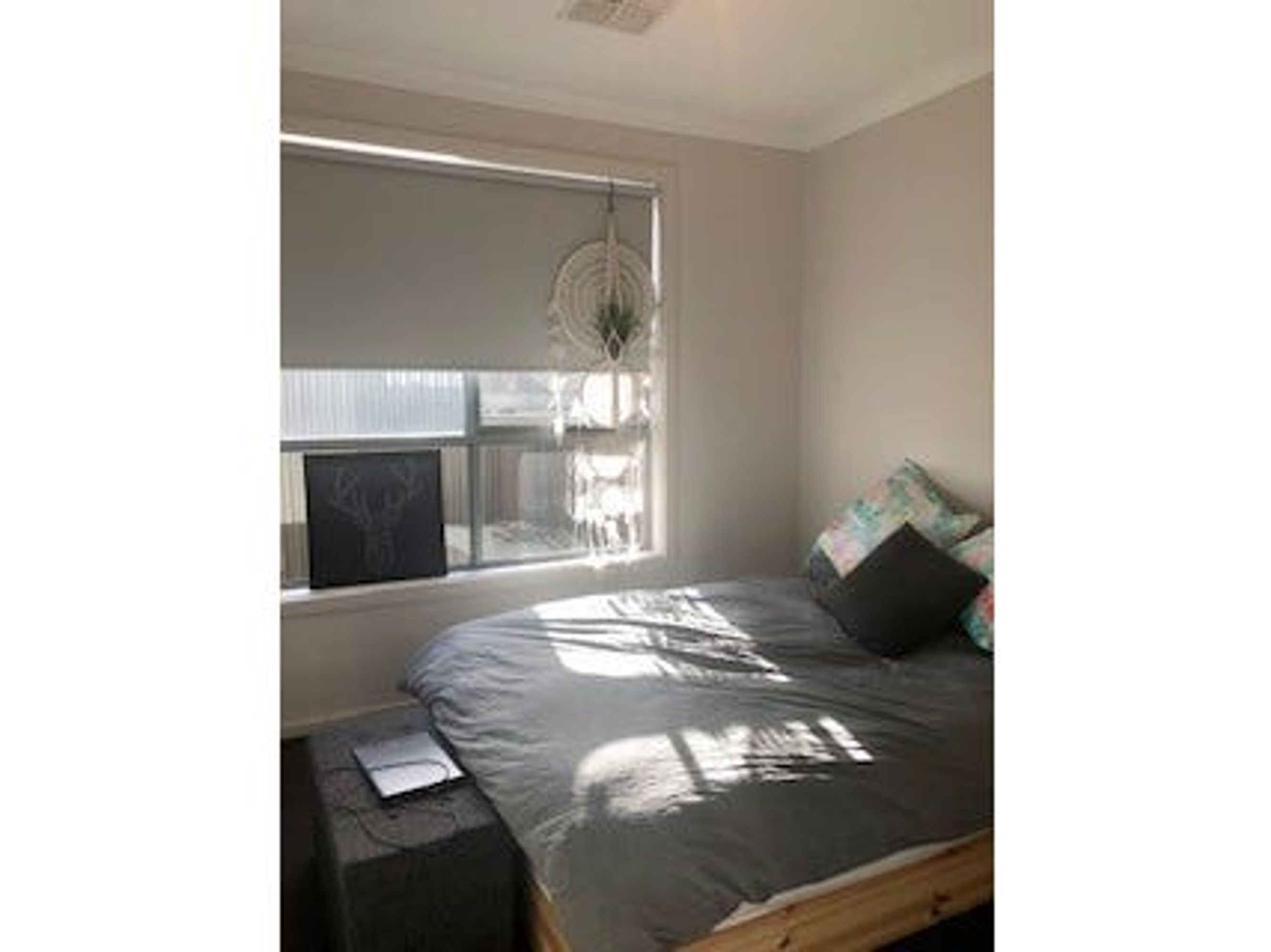 29 Melville Street, Mount Barker SA 5251, Mount Barker - Thumbnail 8