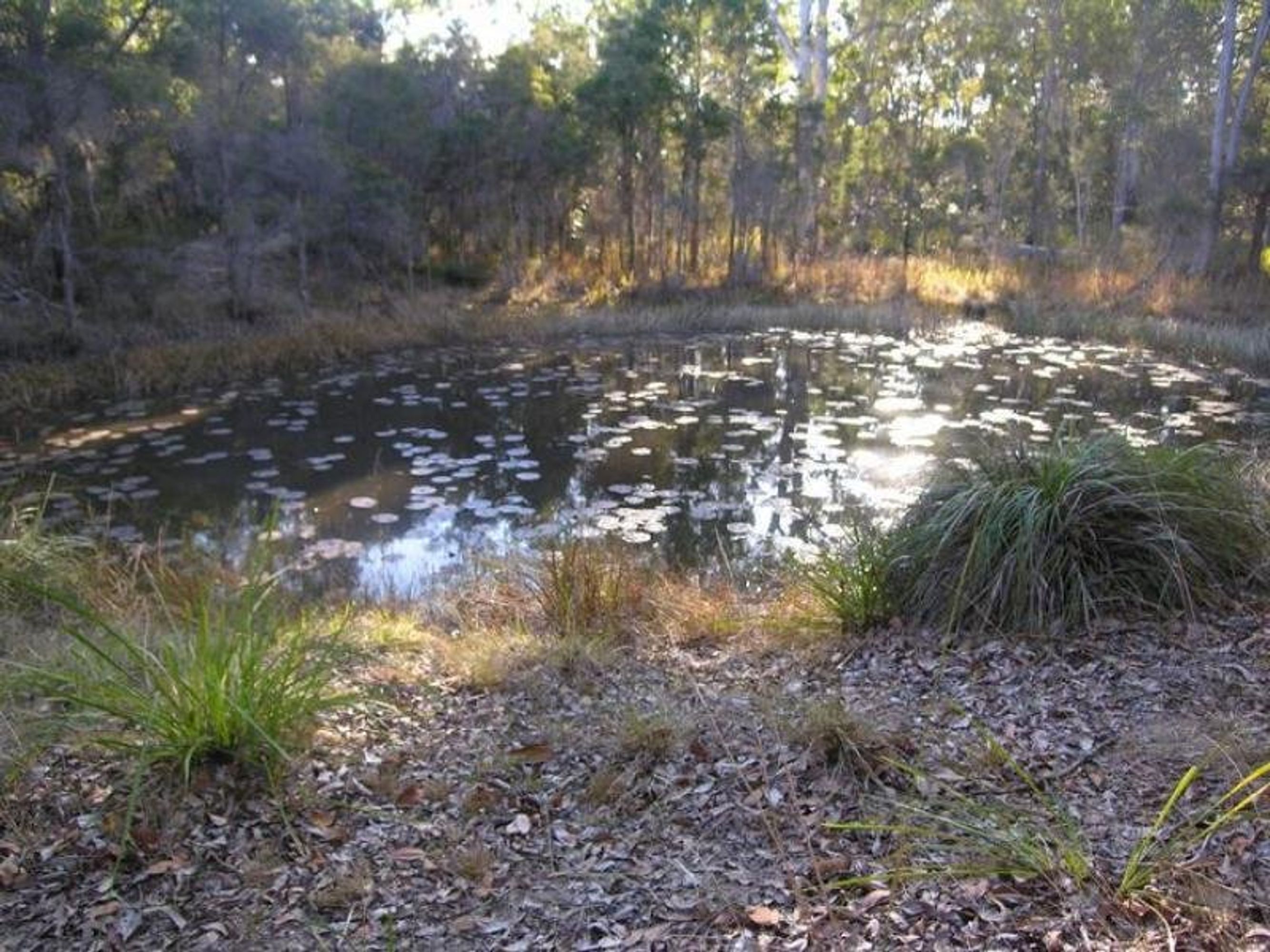 Lot 43/Lot 43/43 Burragan Road, Kangaroo Creek - Image 1