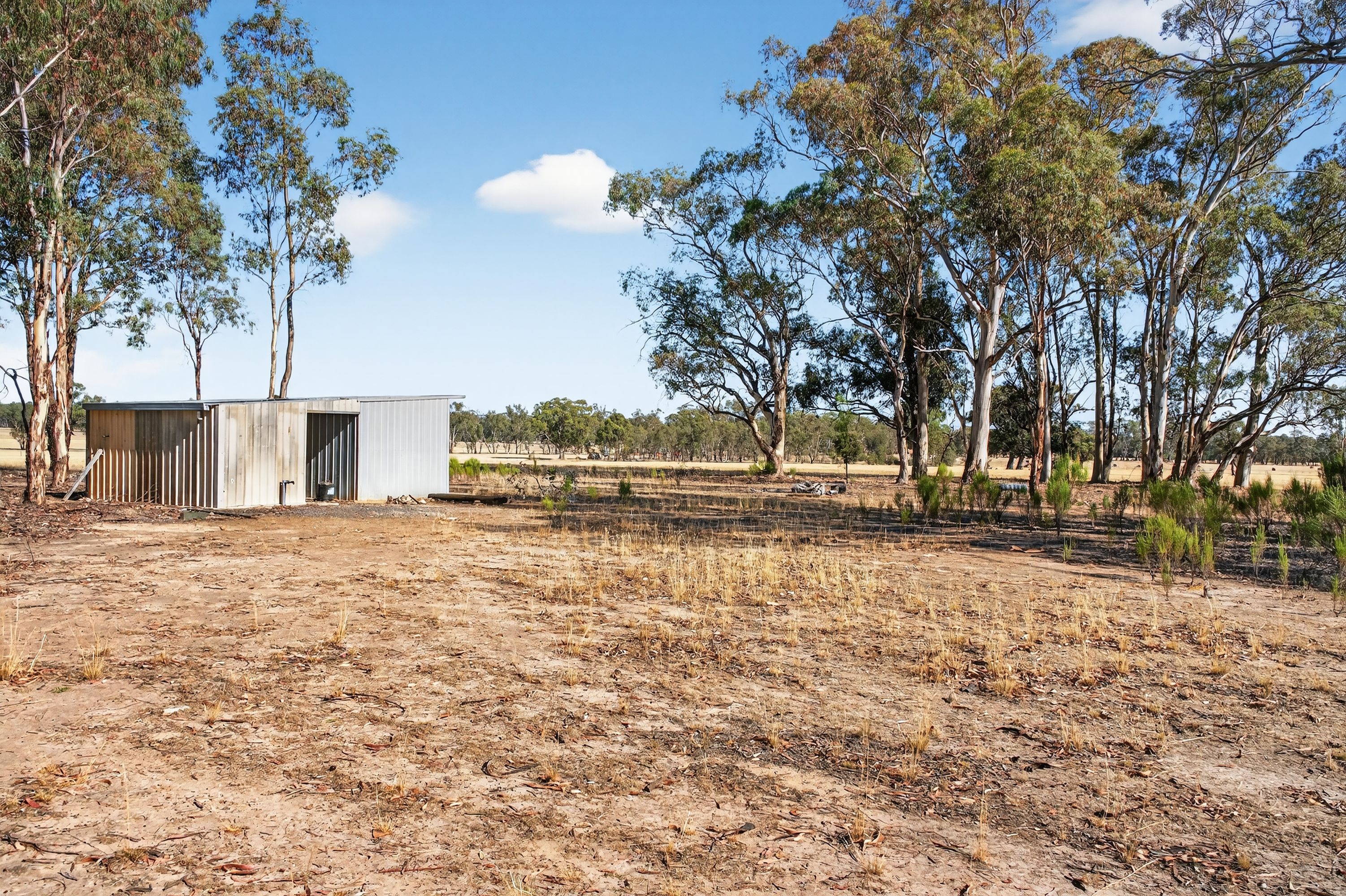 99 Winzar Lane, Goornong, Goornong - Thumbnail 8