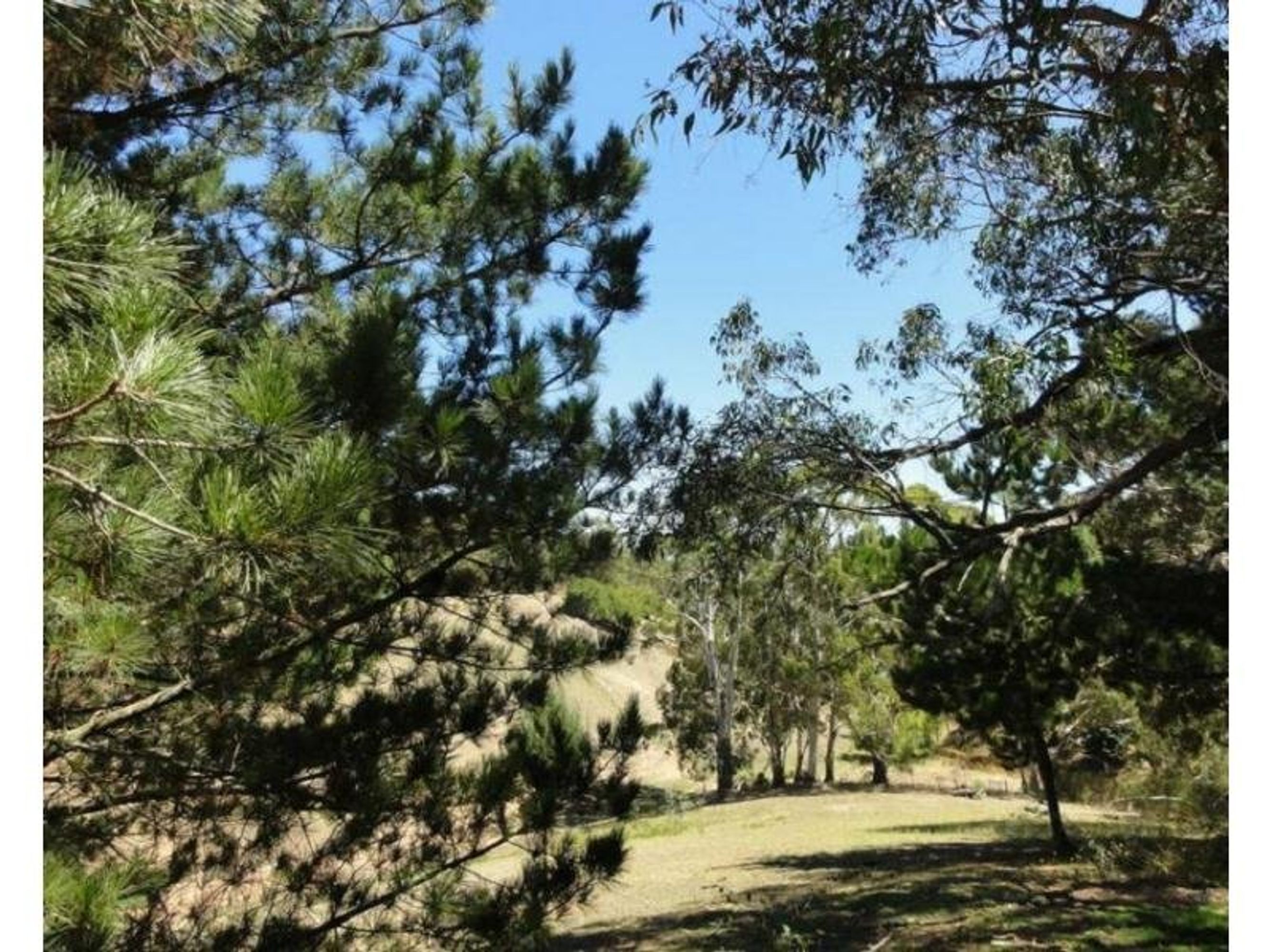47 Debneys Road, Norton Summit, SA 5136, Norton Summit - Thumbnail 2