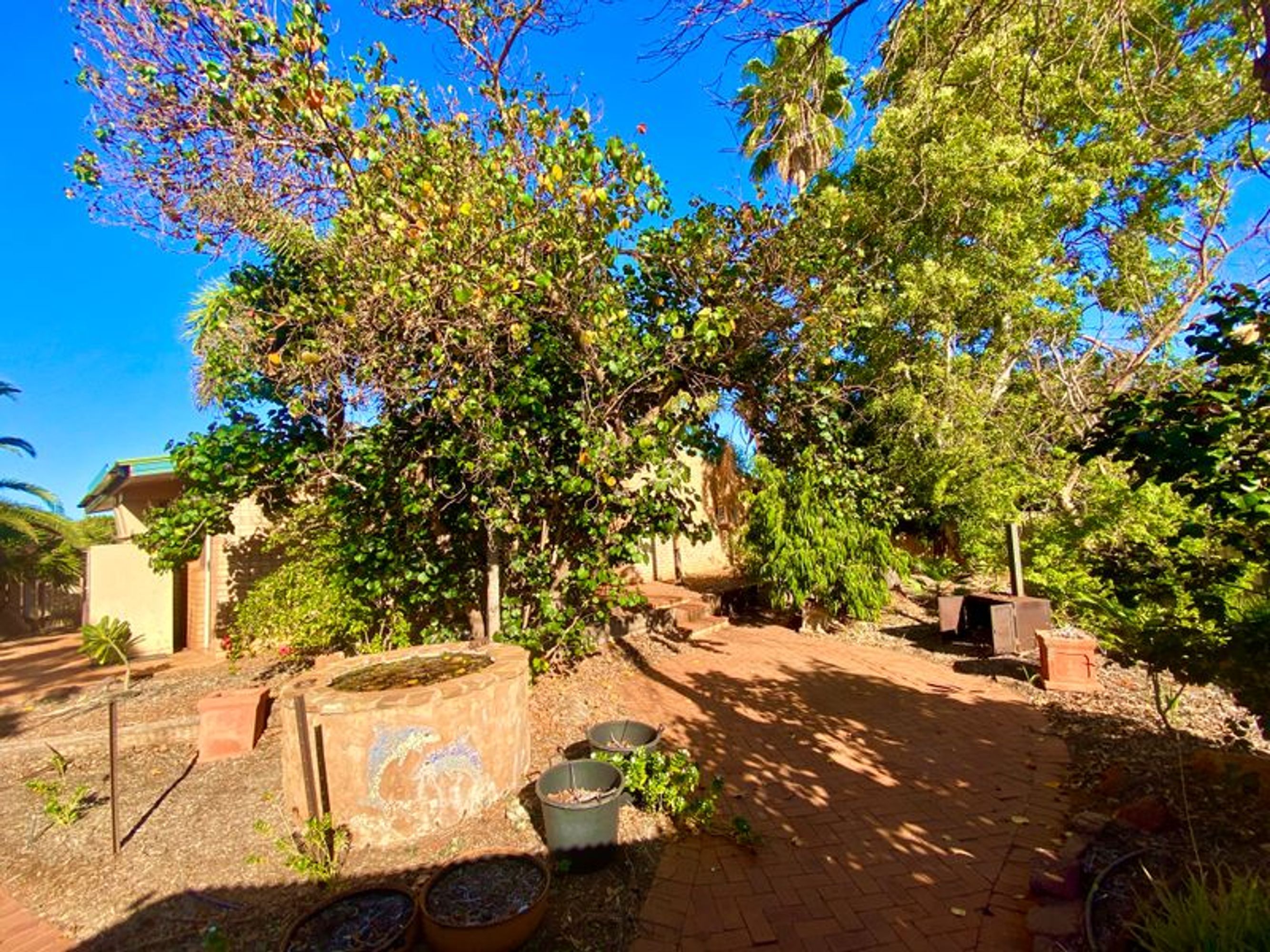 13 Cowrie Way, South Hedland, South Hedland - Thumbnail 6