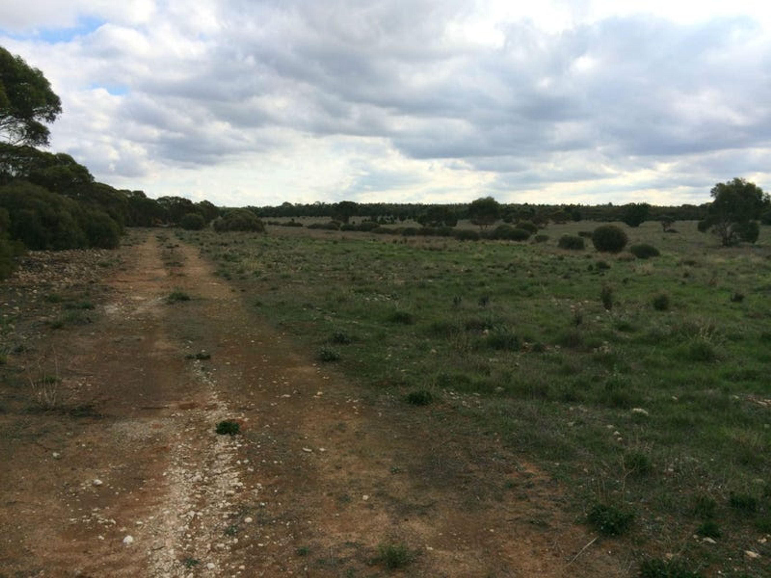 Lot 19 Ferries McDonald Road, Monarto South, SA 5254, Monarto South - Thumbnail 8