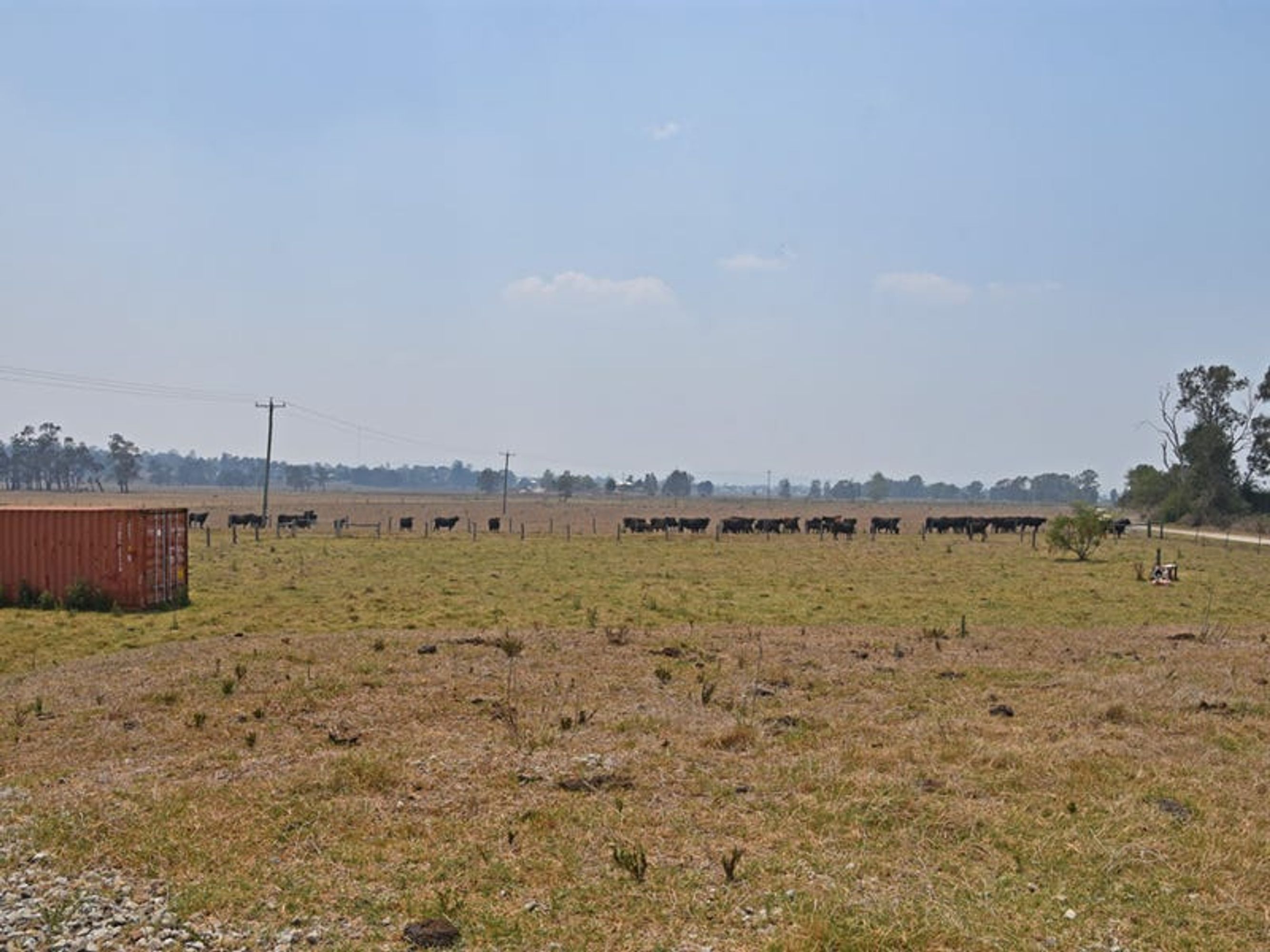 Lot 3 Sportsmans Creek Road, Lawrence - Thumbnail 6