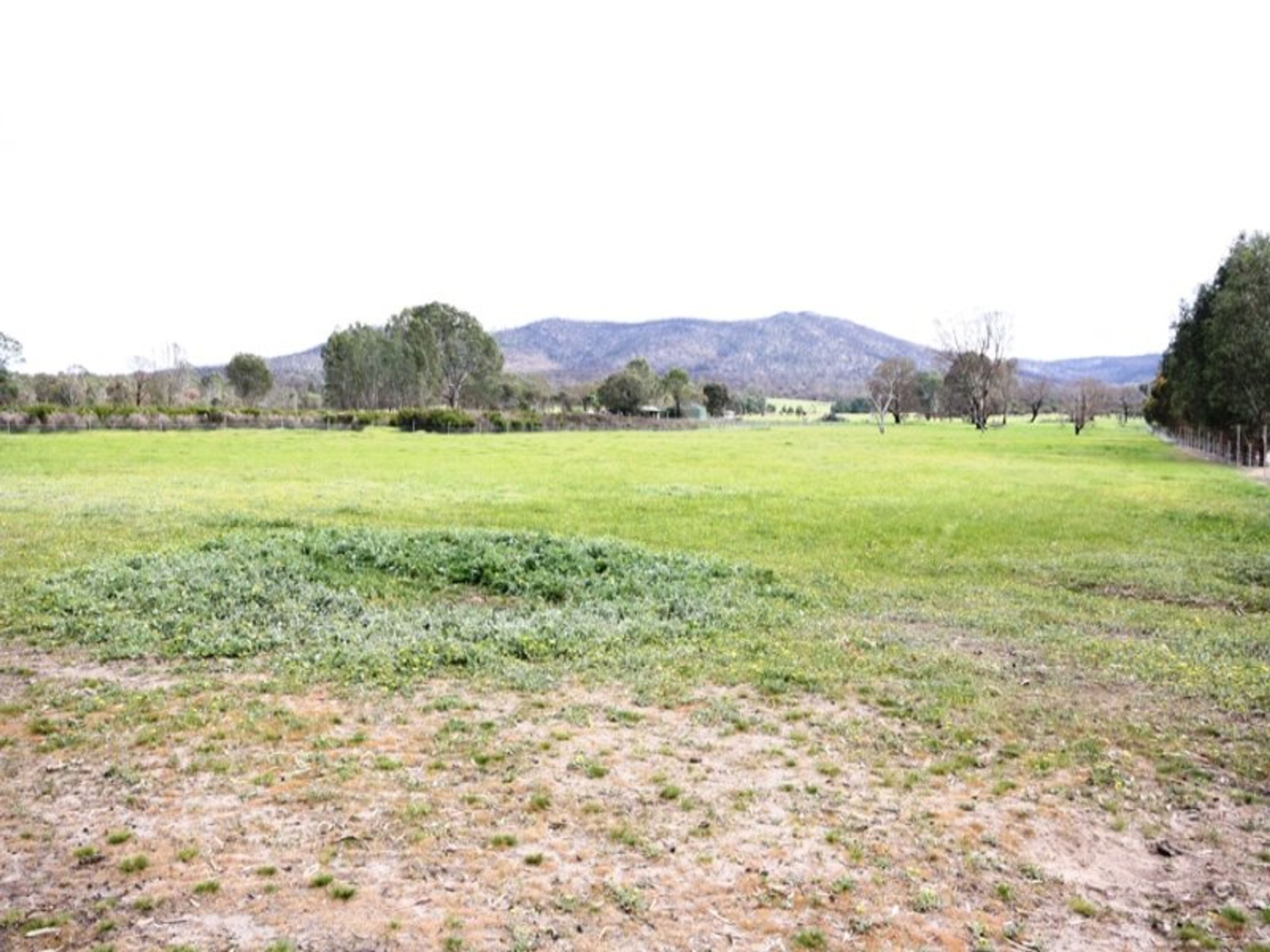 2484 Roses Gap Road, Wartook VIC 3401, Wartook - Thumbnail 4