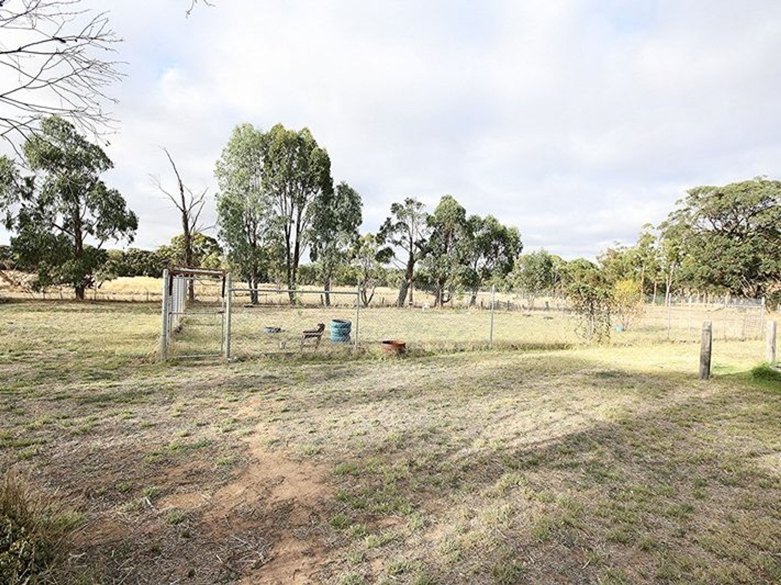 403 Forbidden, Wonwondah - Thumbnail 4