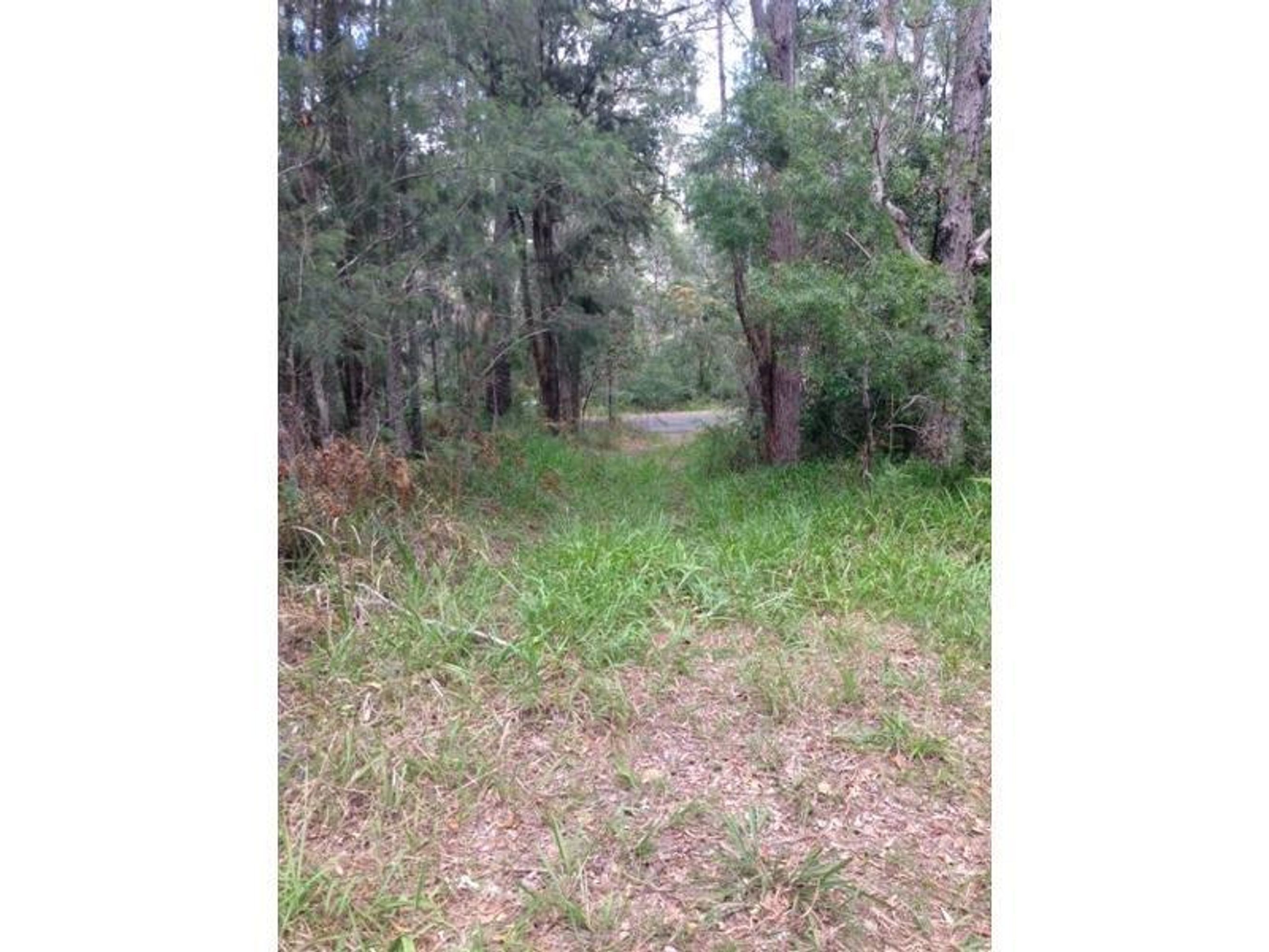 970 Kungala Road, Lanitza - Thumbnail 8