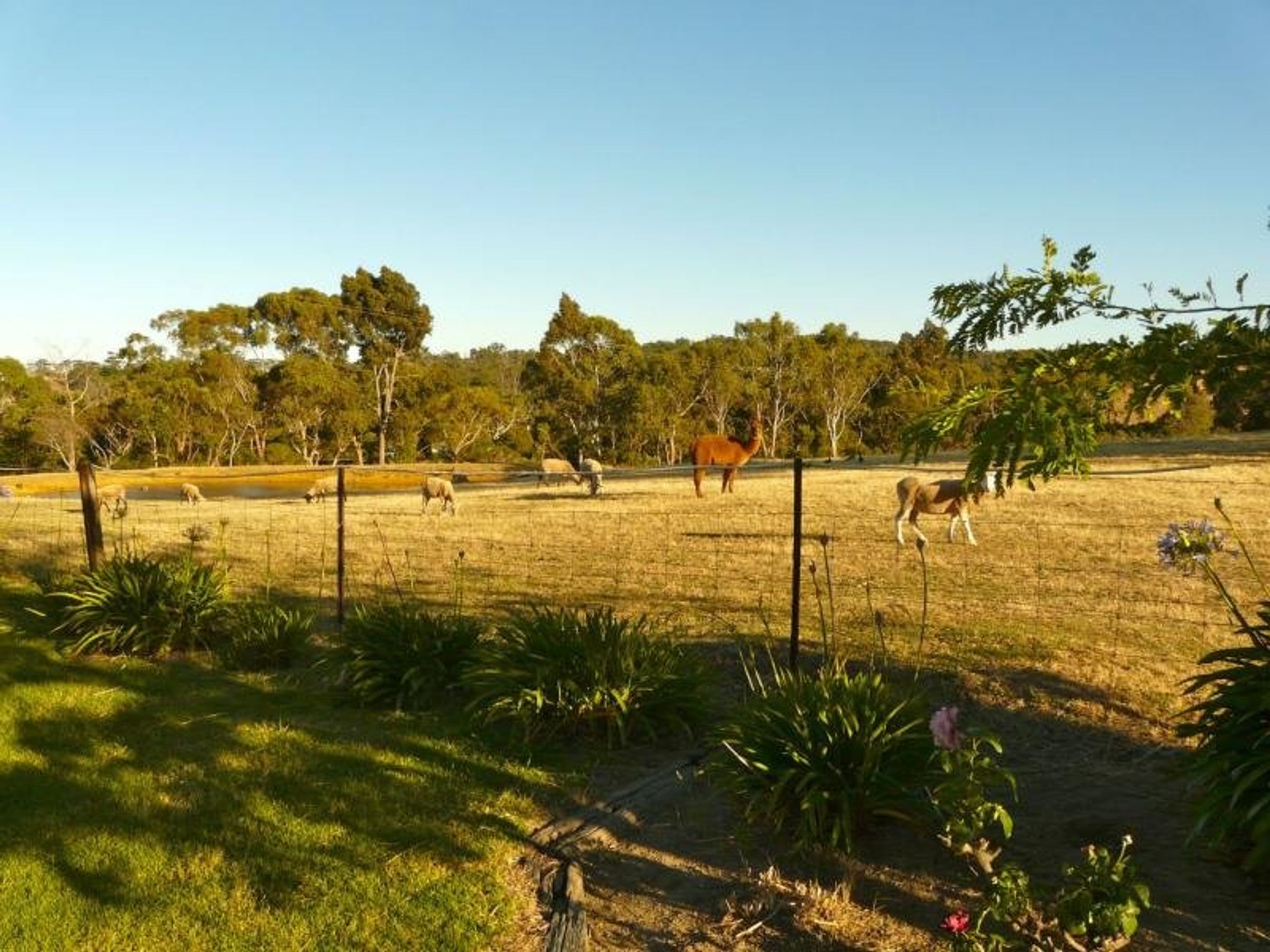 353A Dashwood Gully Road, Kangarilla SA 5157, Kangarilla - Thumbnail 4
