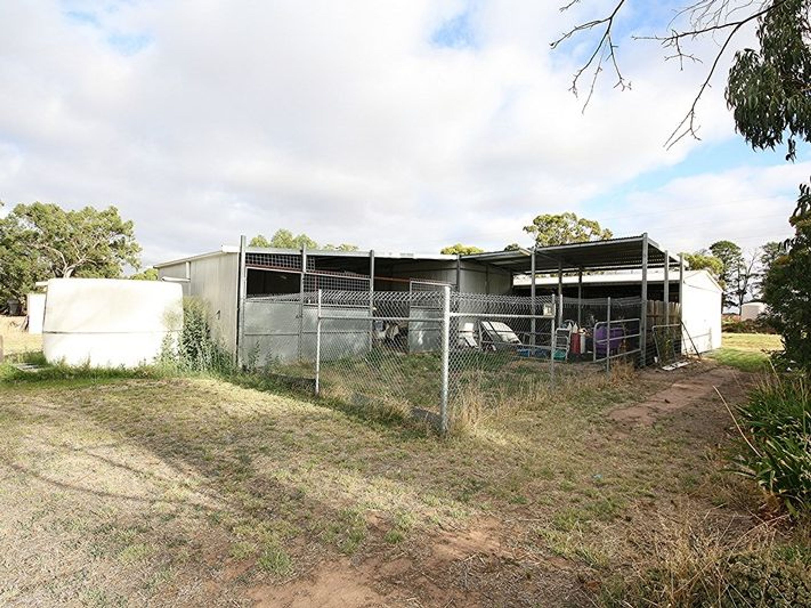 403 Forbidden, Wonwondah - Thumbnail 5