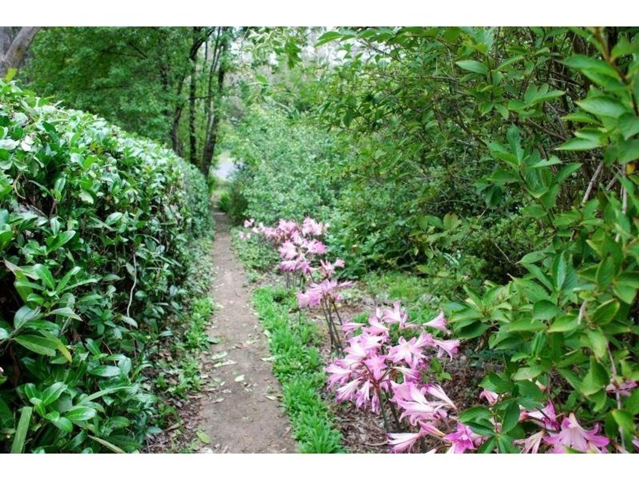 34 Magdala Street, Katoomba - Thumbnail 2