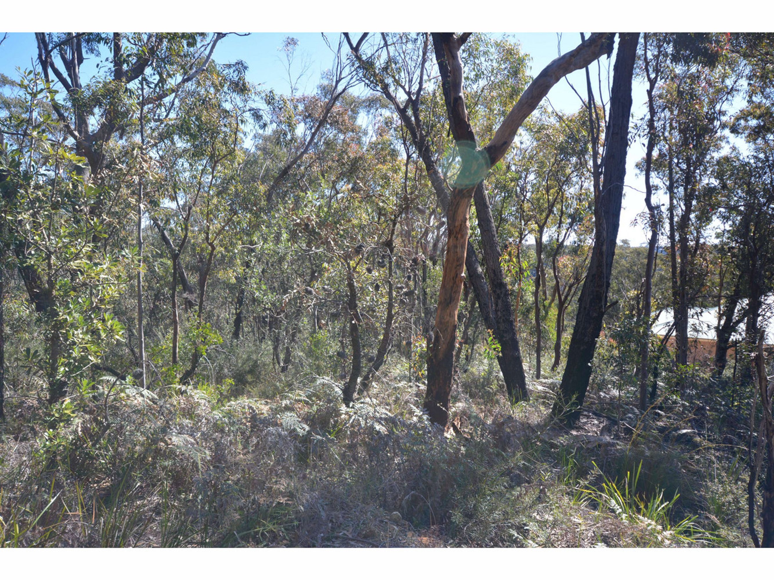 24-26 24-26 Booth Road, Bullaburra - Thumbnail 2