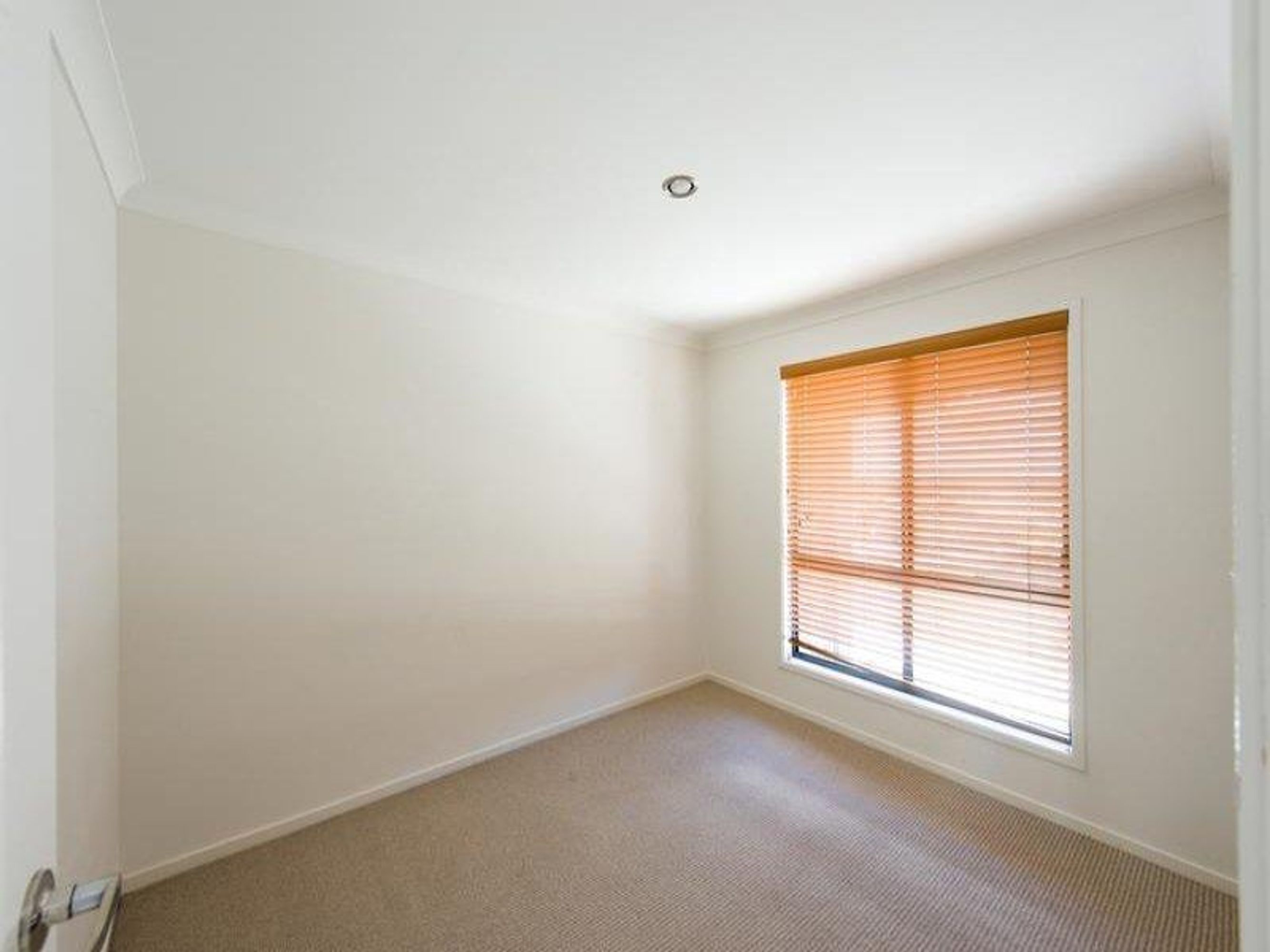 6 Lemon Myrtle Close, South Grafton - Thumbnail 7