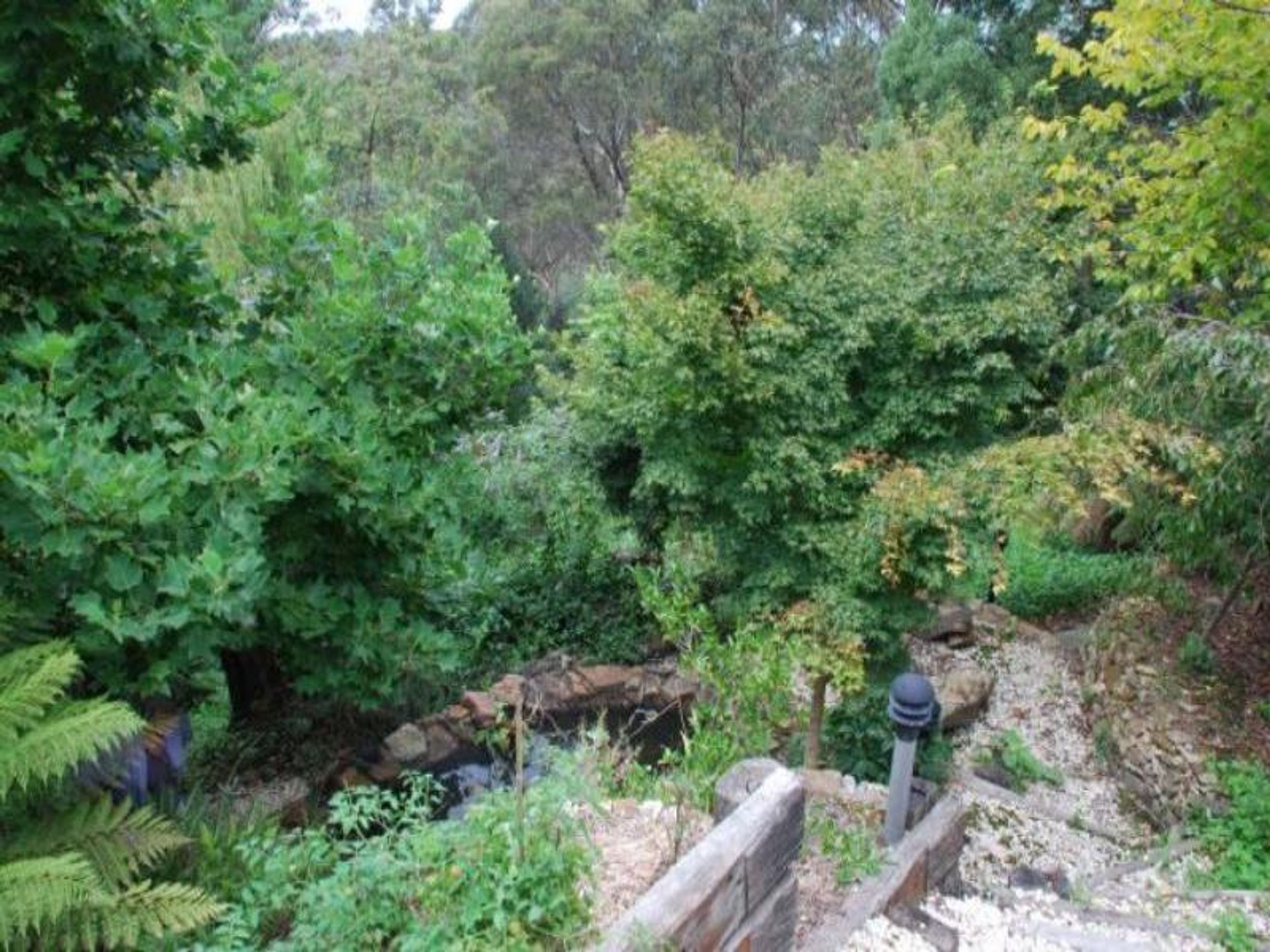 52 Railway Pde, Leura - Thumbnail 2