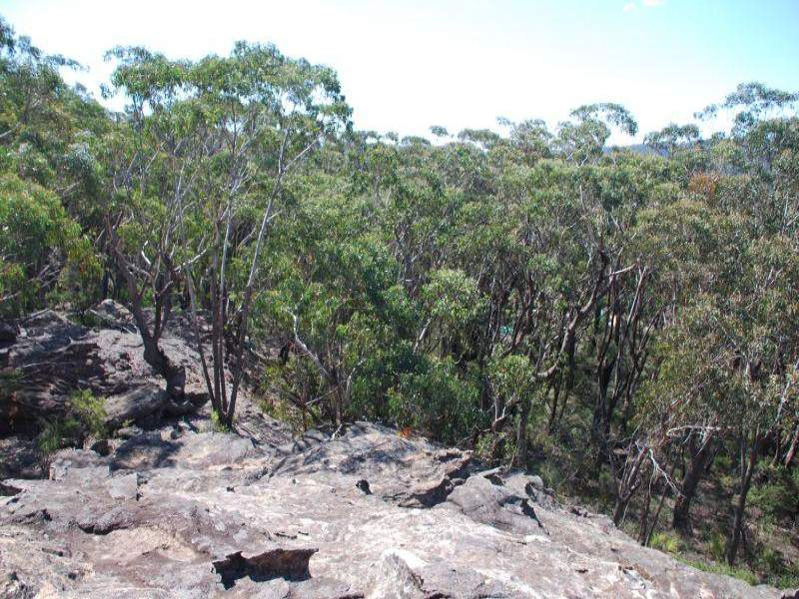9 The Glen Rd, Mount Victoria - Thumbnail 2
