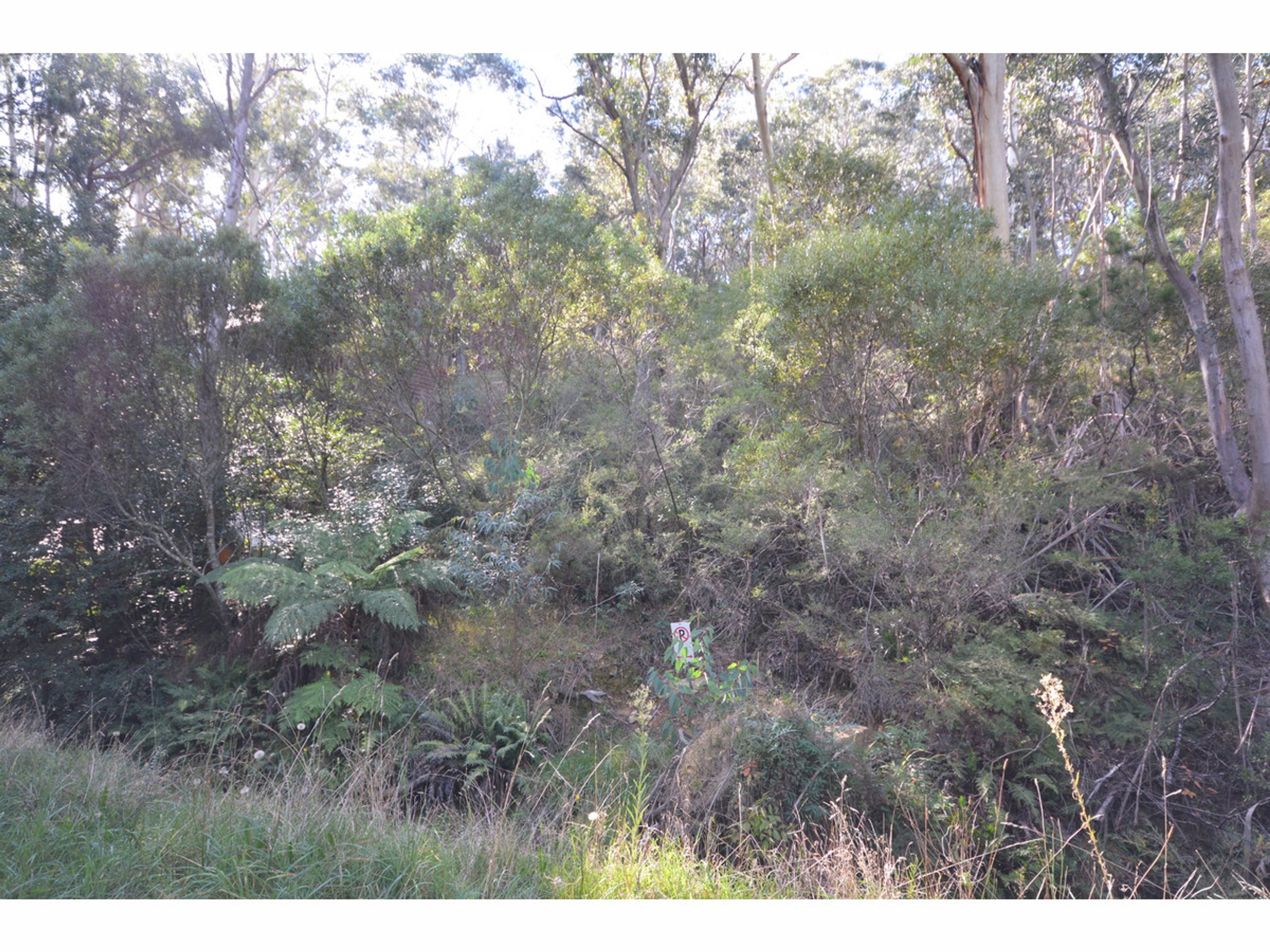 40 Neale Street, Katoomba - Thumbnail 5