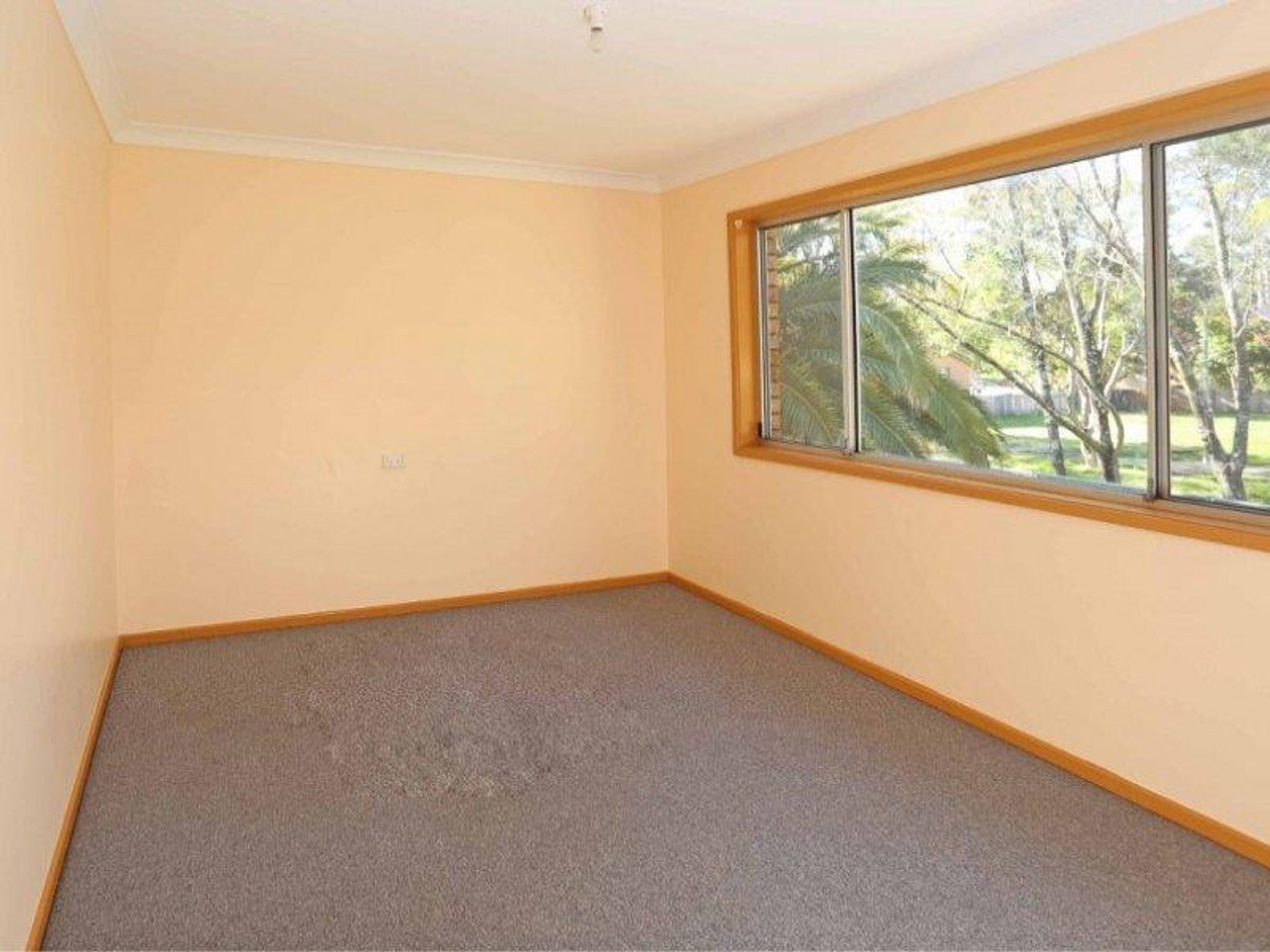 3 Coolabah Way, South Grafton - Thumbnail 7
