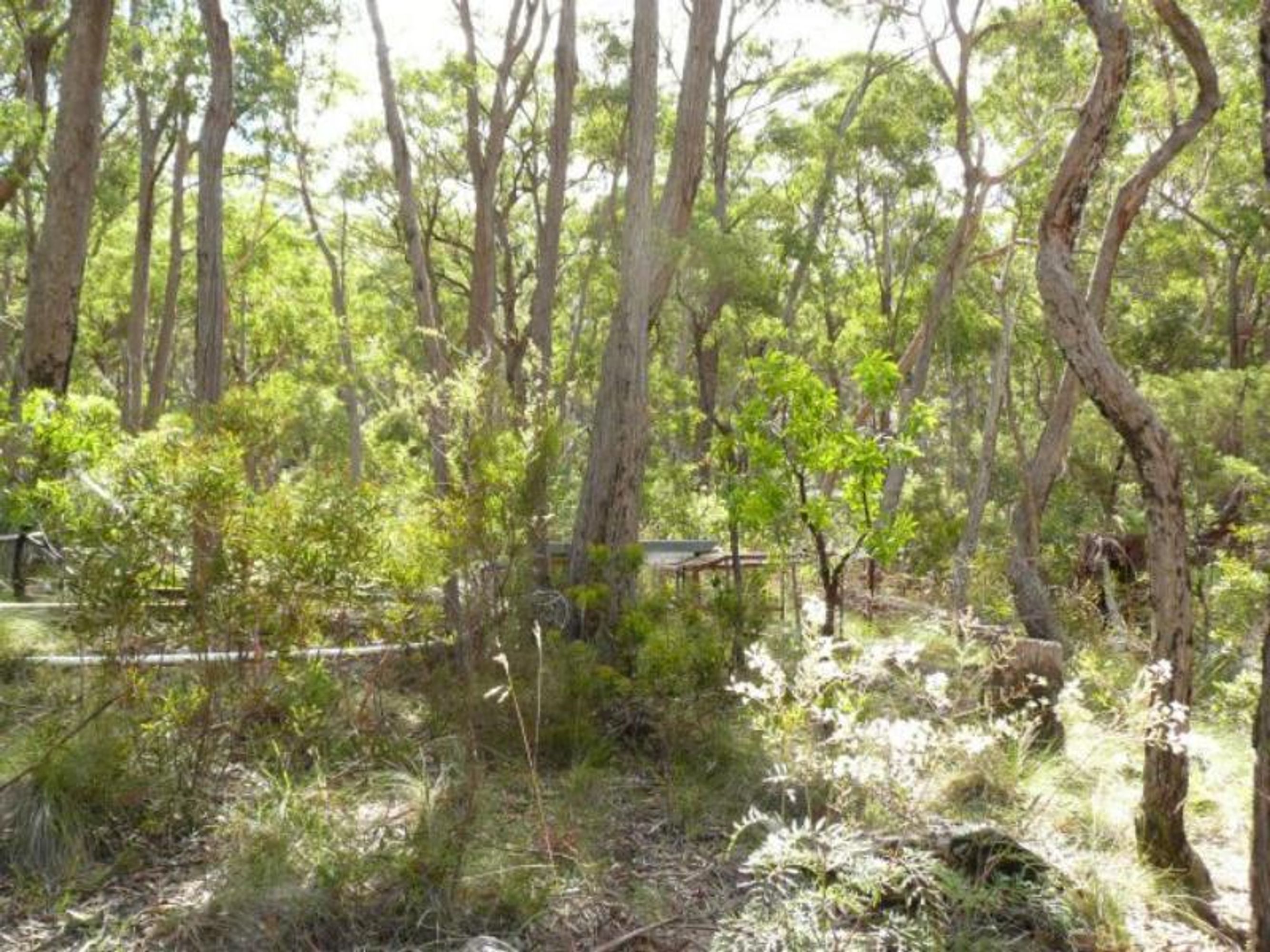 49 Salisbury Ave, Mount Victoria - Thumbnail 5