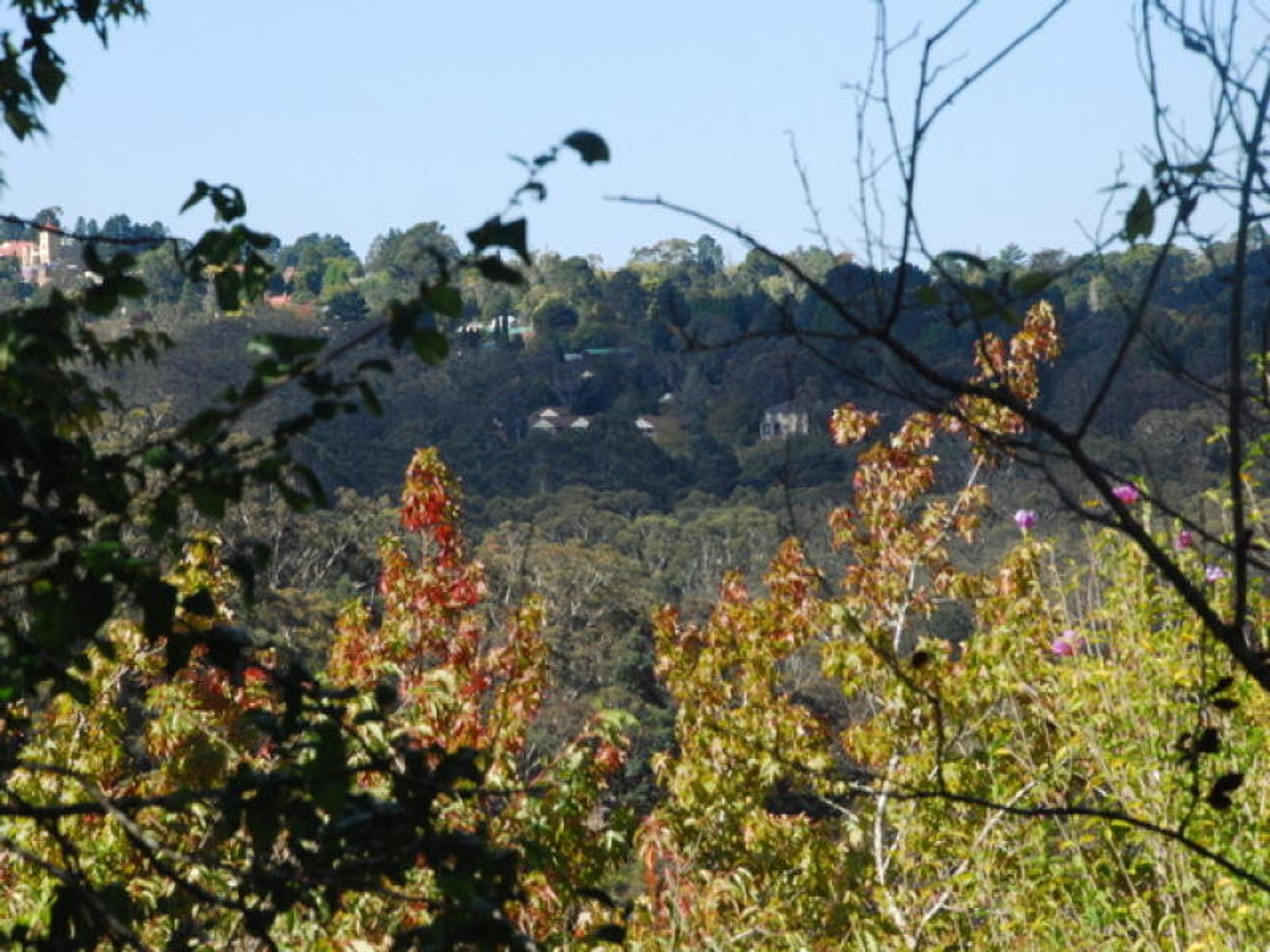 8 Banksia Park Road, Katoomba - Thumbnail 3