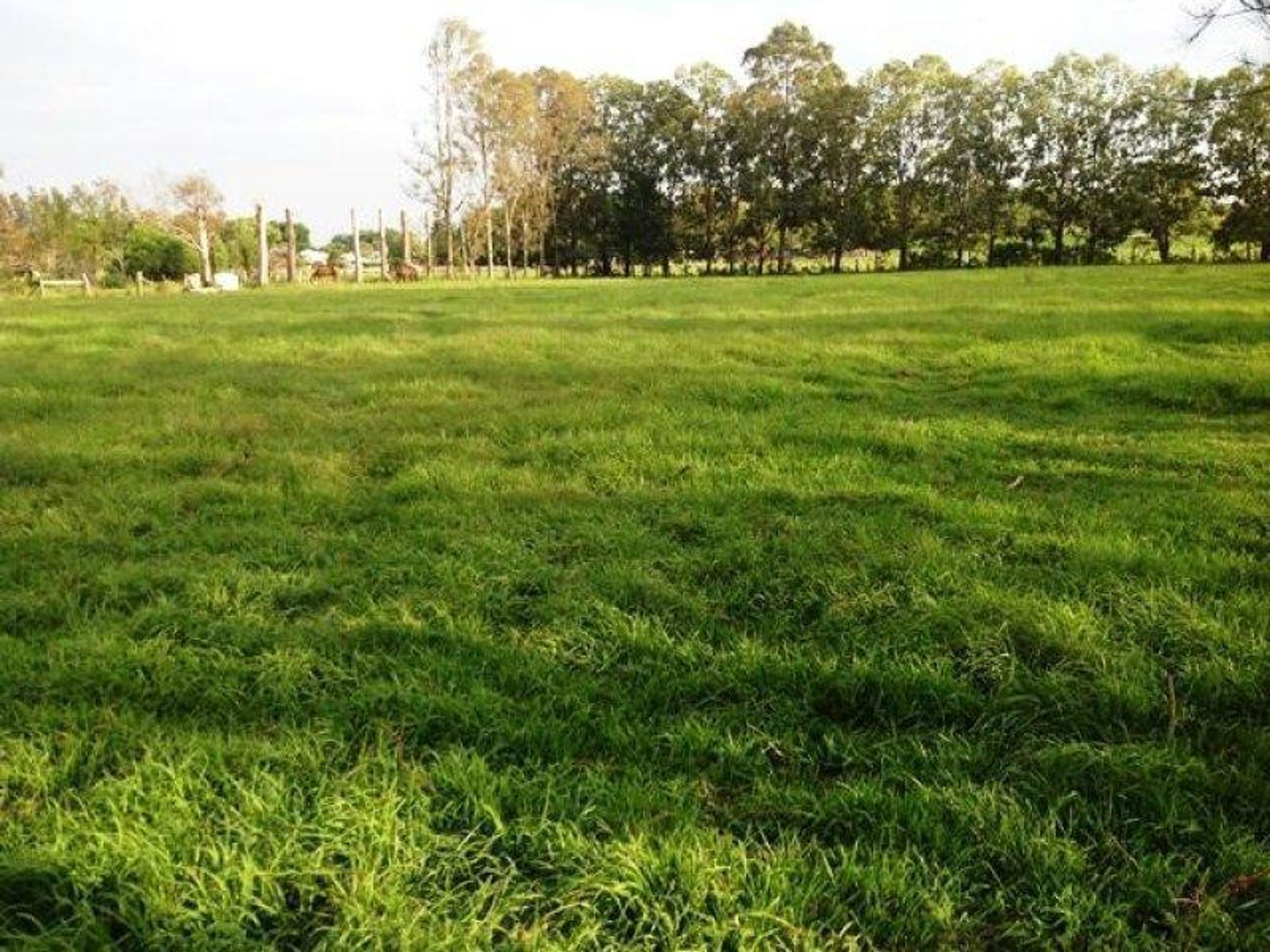 Lot 309 & 312/Lot 309 & 312/309-312 Vere Street, South Grafton - Thumbnail 4
