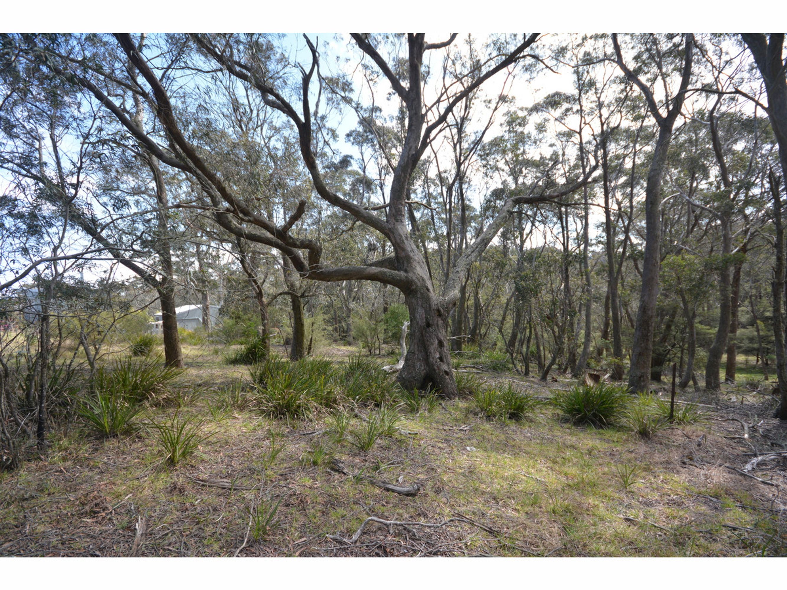 Rear of 55 Rear of 55 Farnells Road, Katoomba - Thumbnail 3
