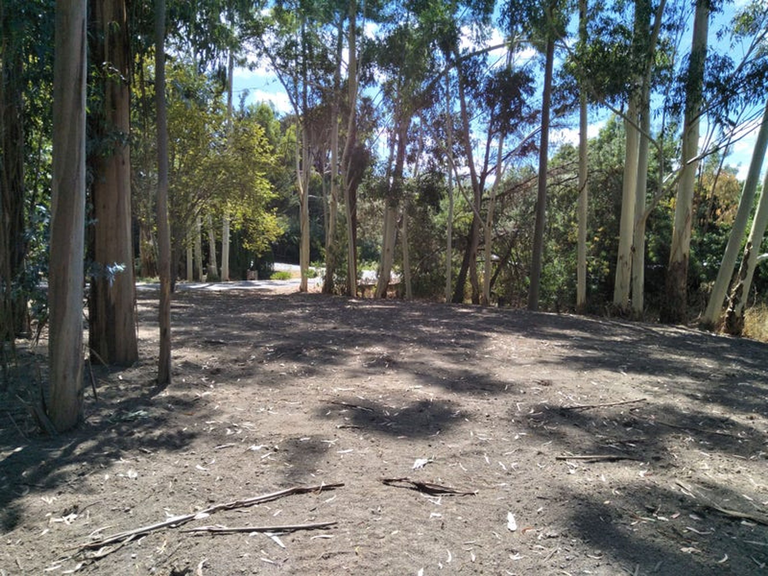 12 Searle Street Street, Macclesfield, SA 5153, Macclesfield - Thumbnail 6