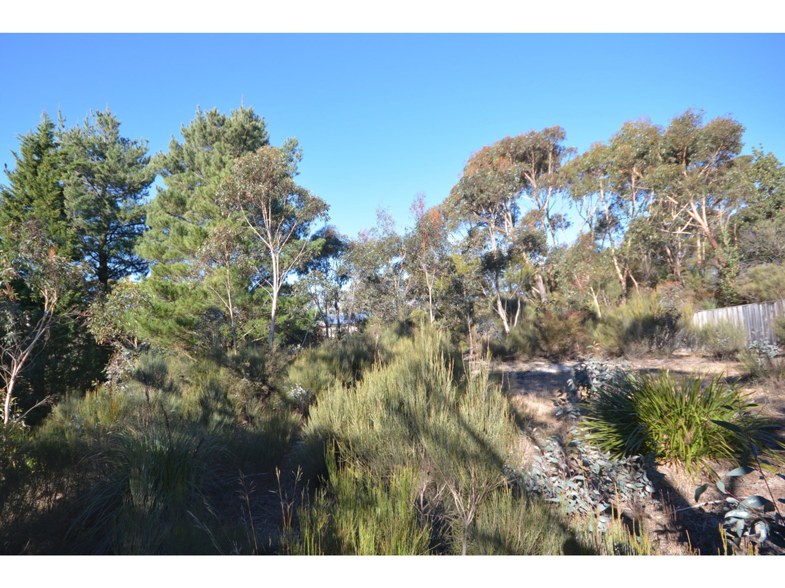 279B/279B Cliff Drive, Katoomba - Thumbnail 3