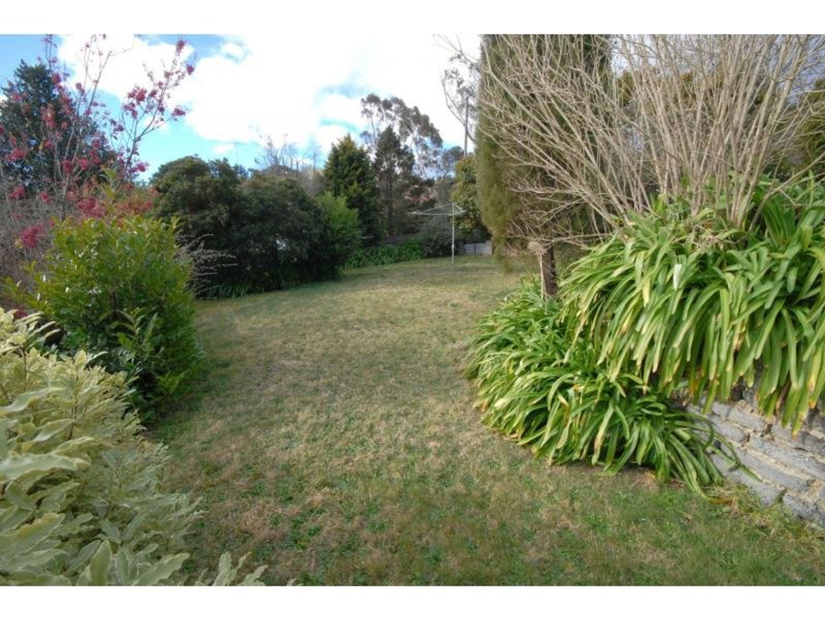 14 Waratah Street, Katoomba - Thumbnail 3