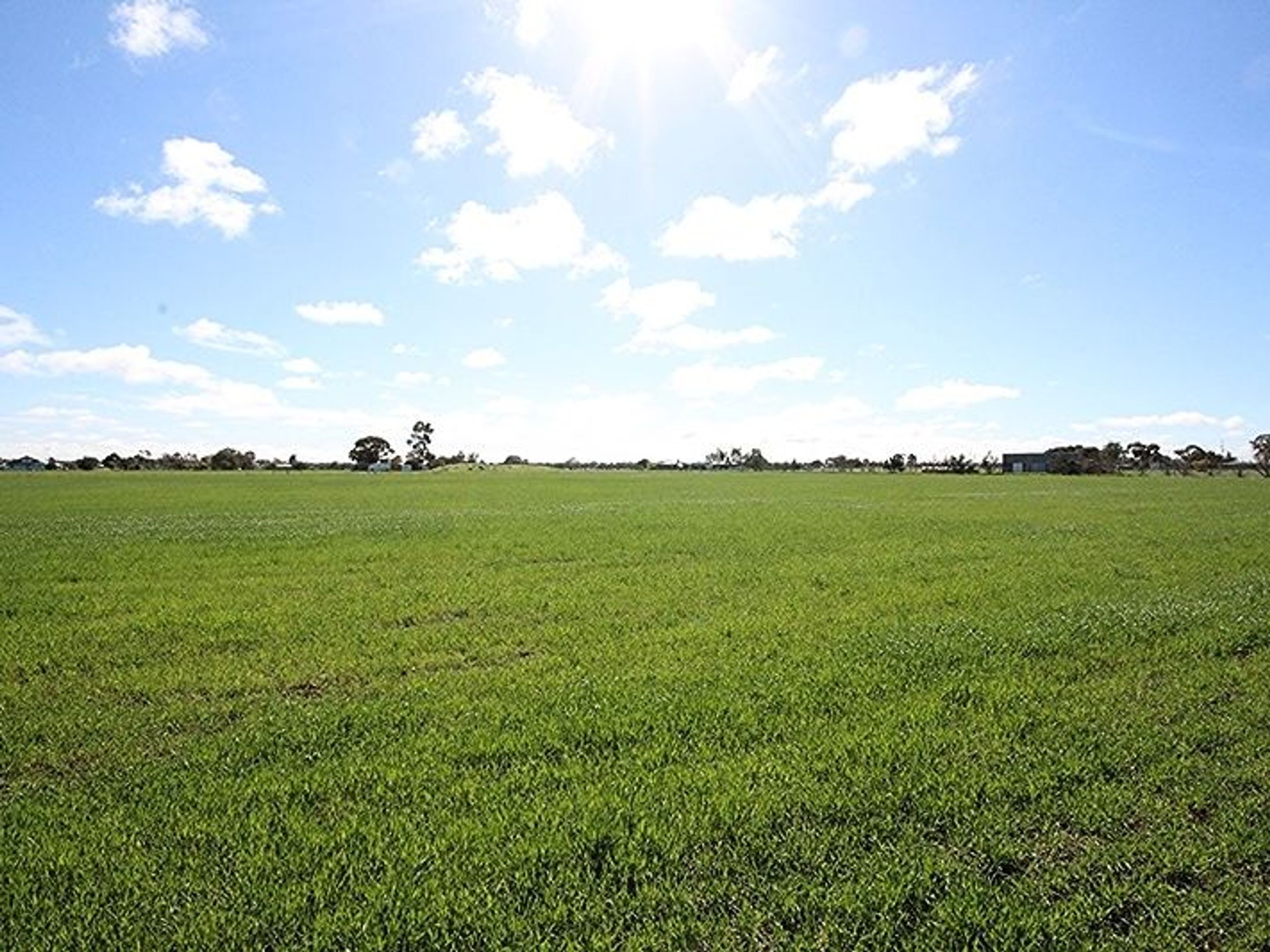 195 Browns Road, Riverside VIC 3401, Riverside - Thumbnail 4