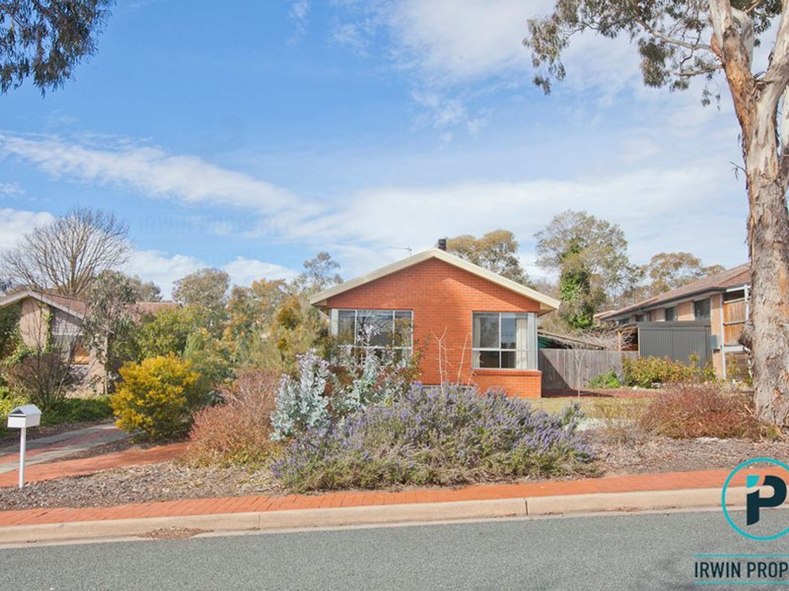 37 Aurora Close, Mawson - Thumbnail 6
