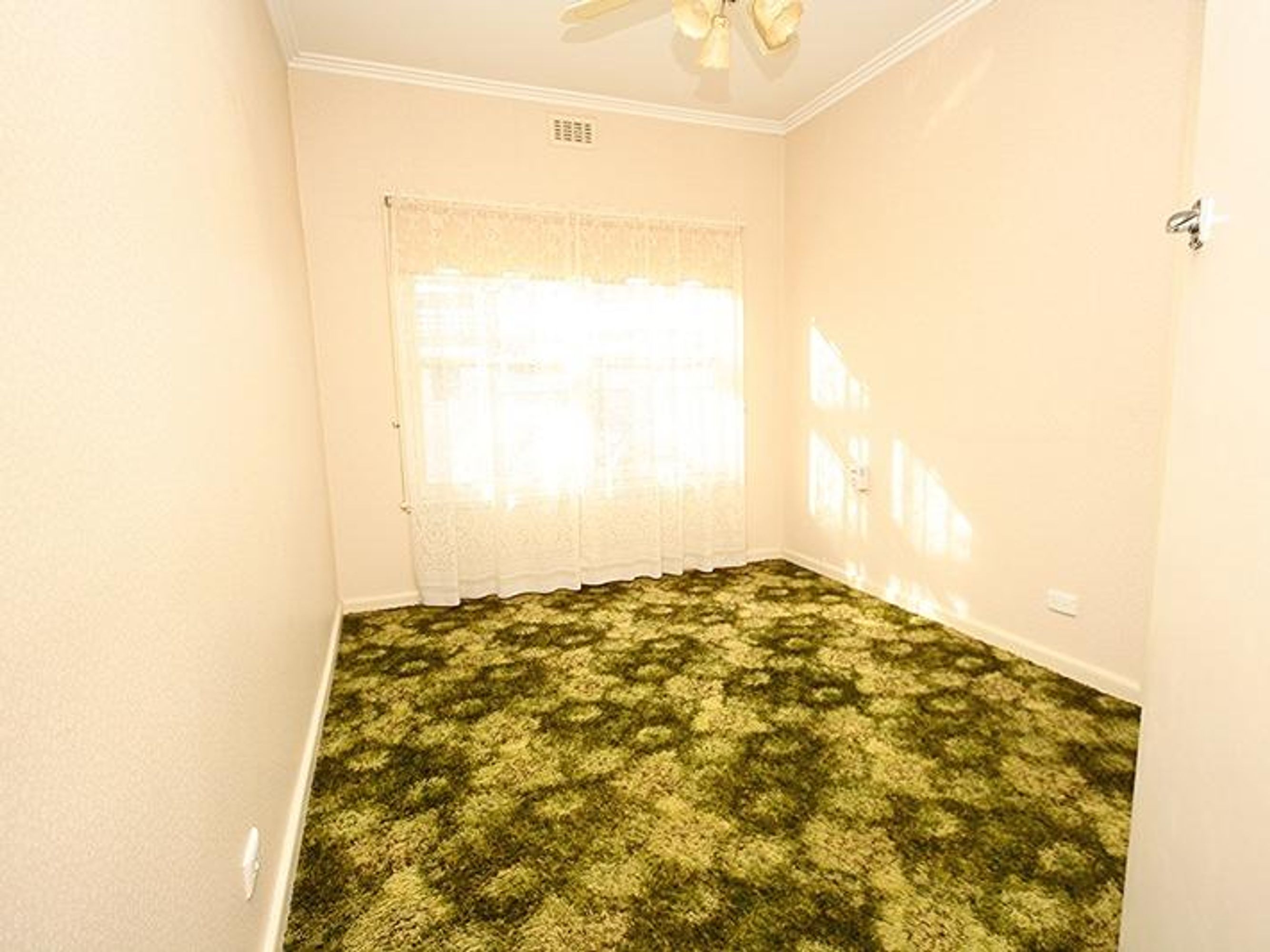 7 Jackson Street, Horsham VIC 3400, Horsham - Thumbnail 7