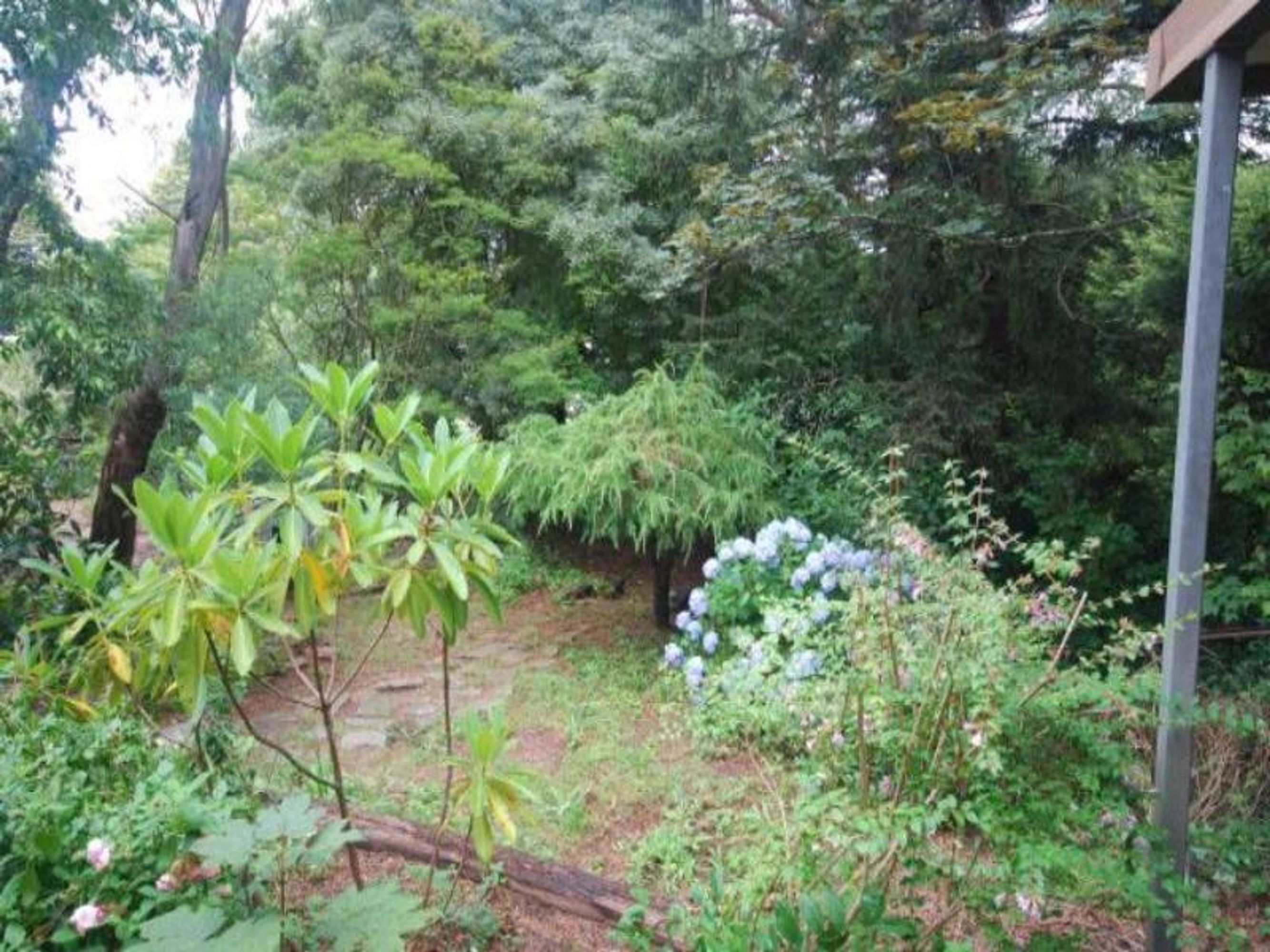 19 Albert St, Leura - Thumbnail 6