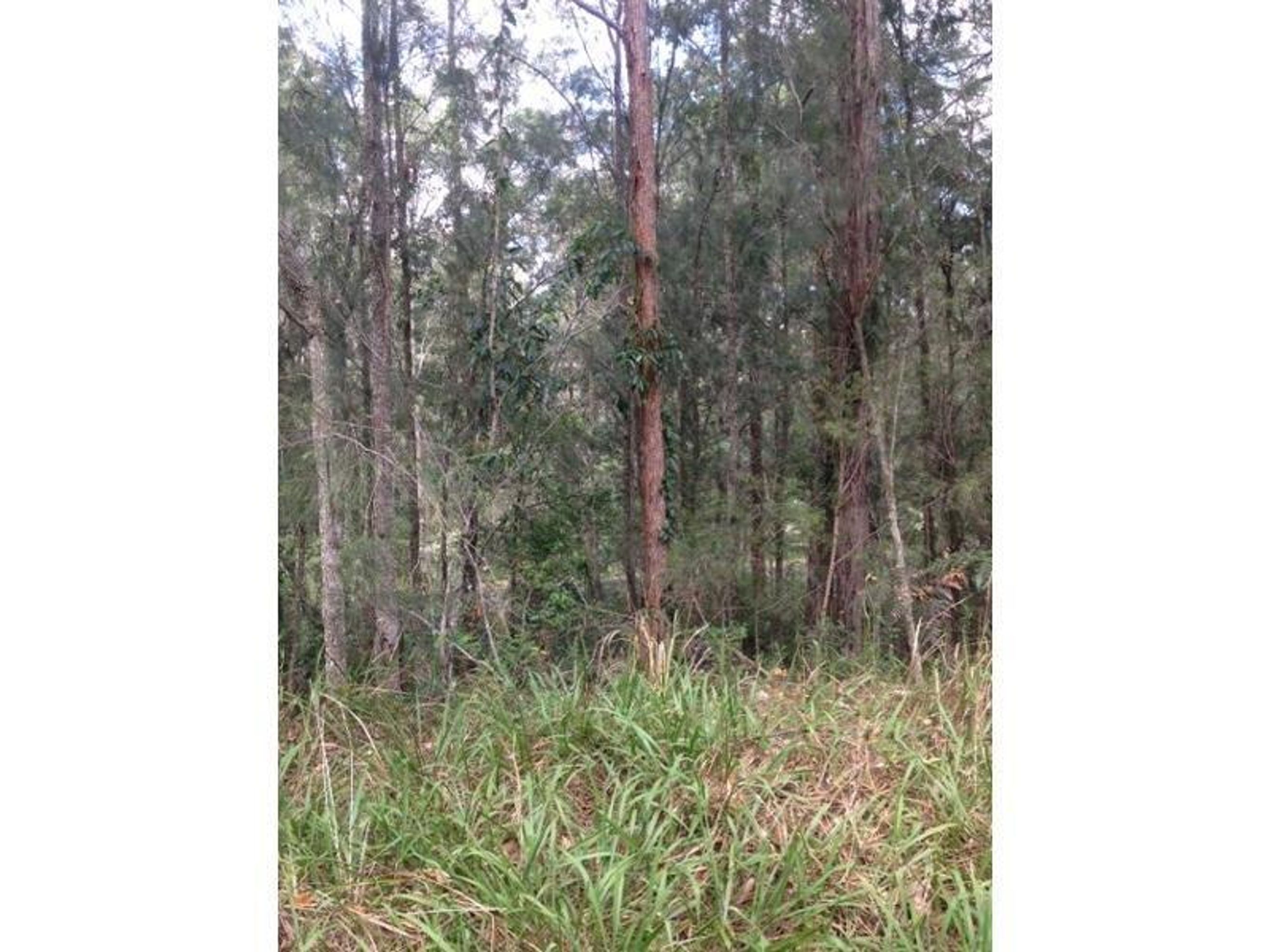 970 Kungala Road, Lanitza - Thumbnail 6