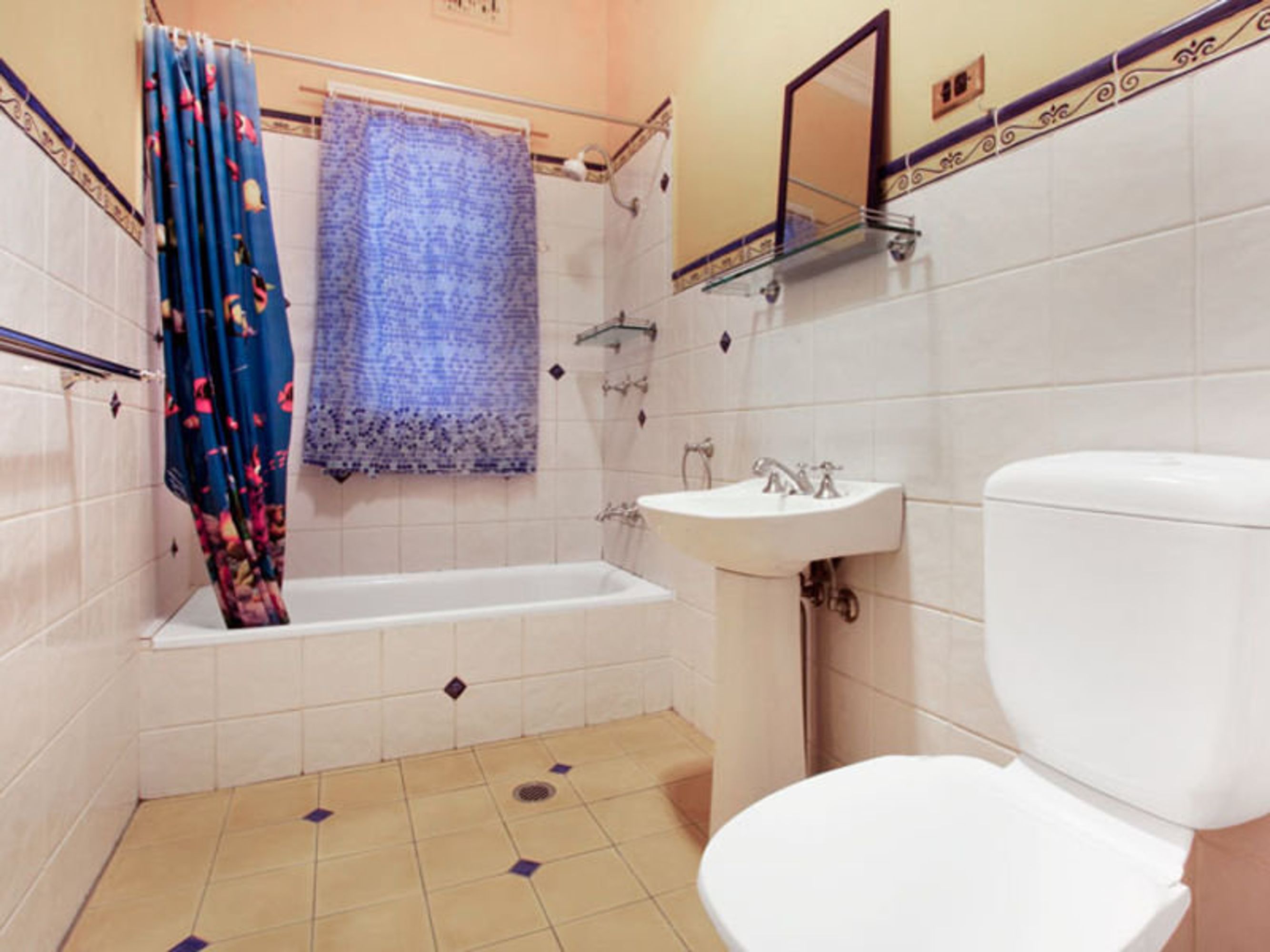 52 Suttor Street, Alexandria, Alexandria - Thumbnail 4
