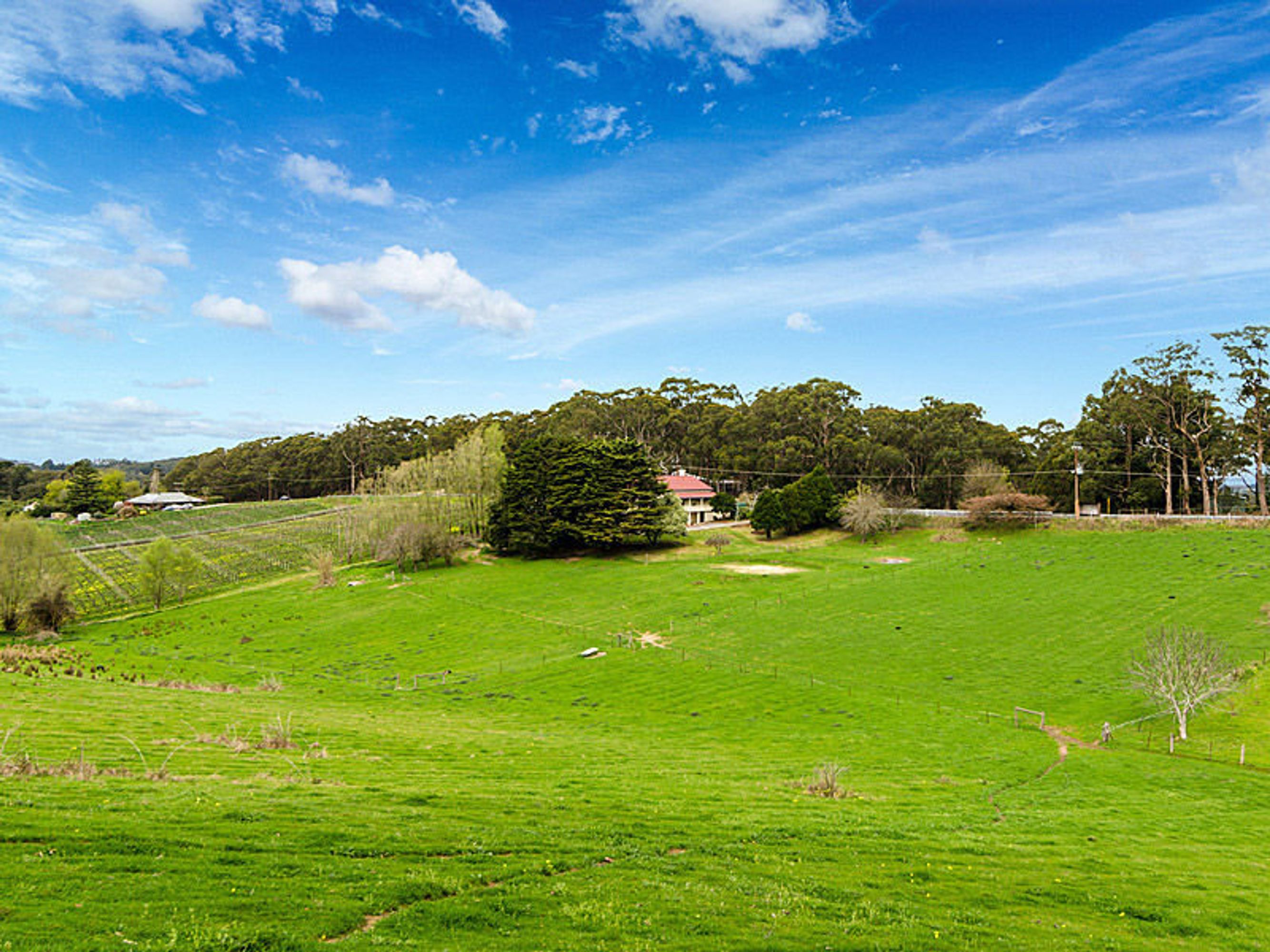 1035 Greenhill Road, Summertown SA 5141, Summertown - Thumbnail 3