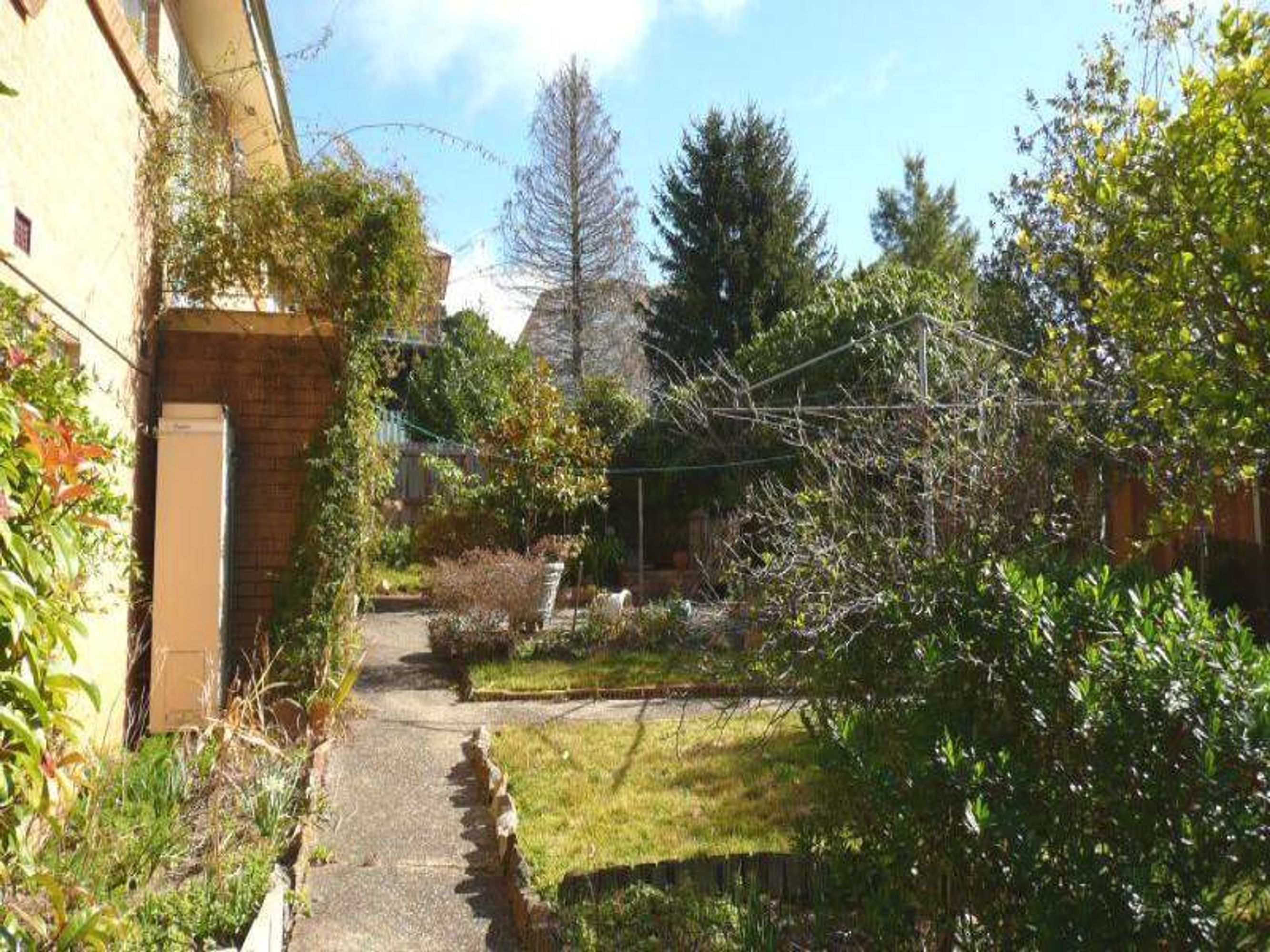 4 Raymond Rd, Katoomba - Thumbnail 3