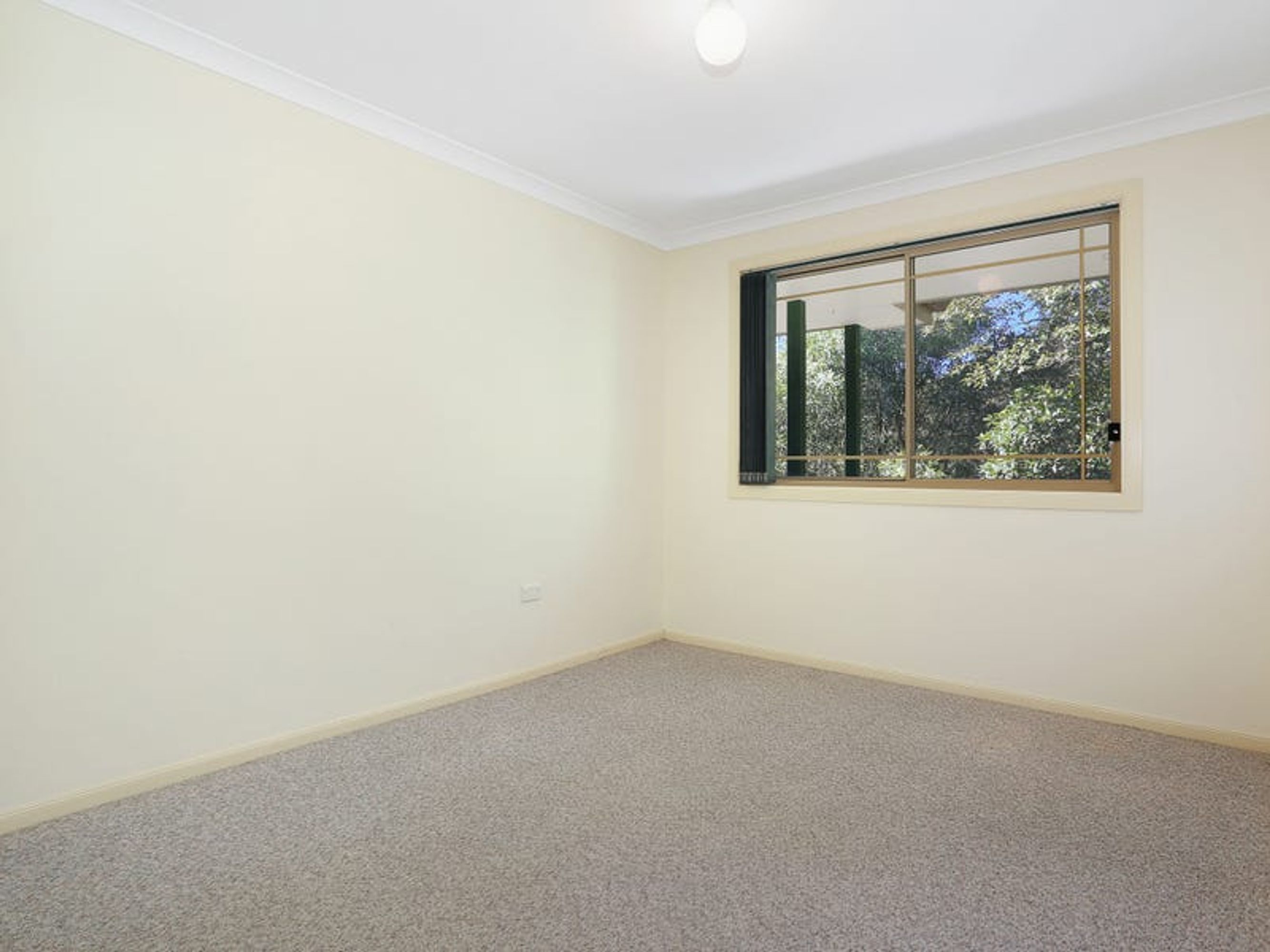 24 Roderick Street, Maclean - Thumbnail 8