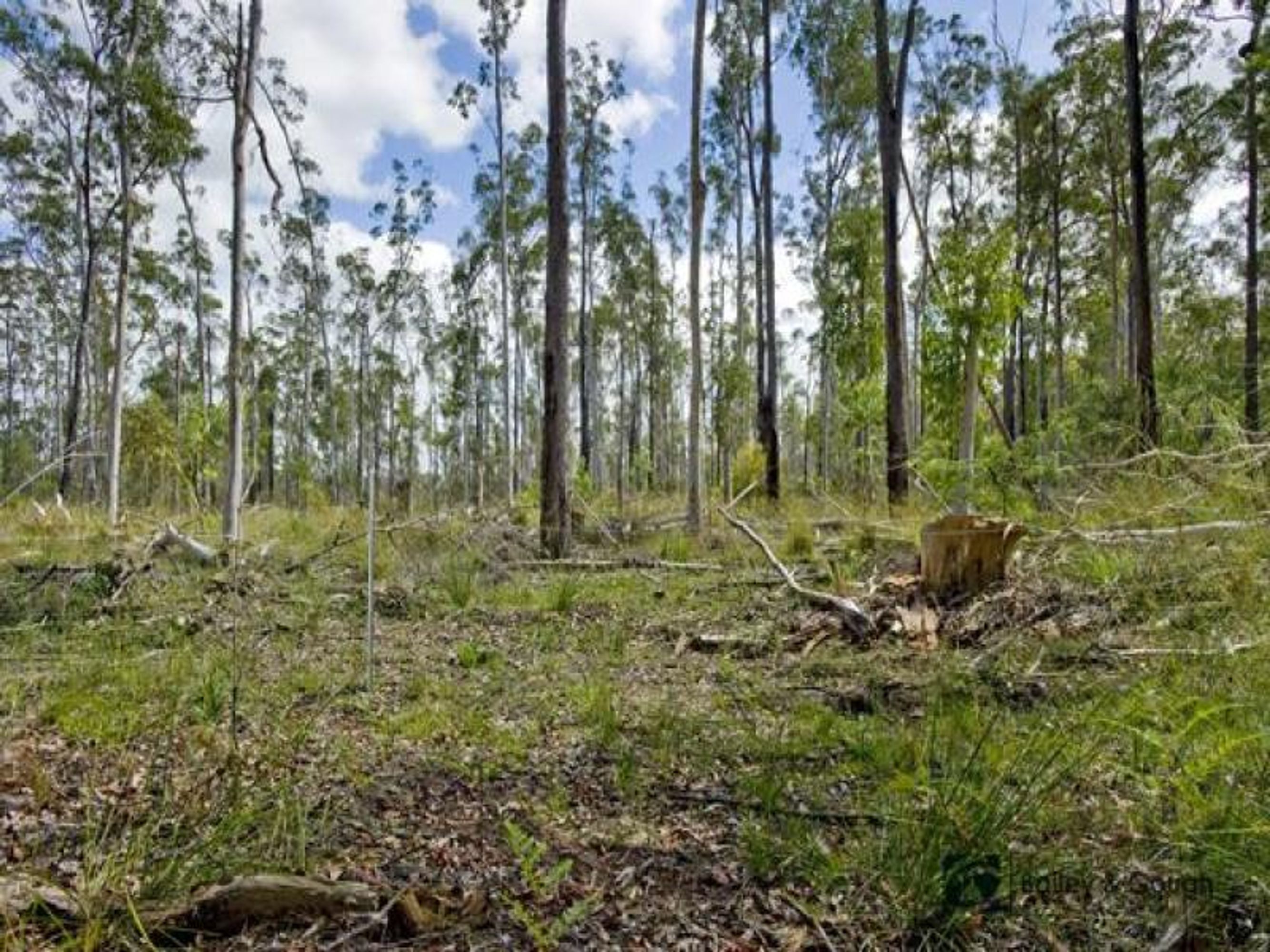 392 Sunnyside Road, Glenugie - Thumbnail 4