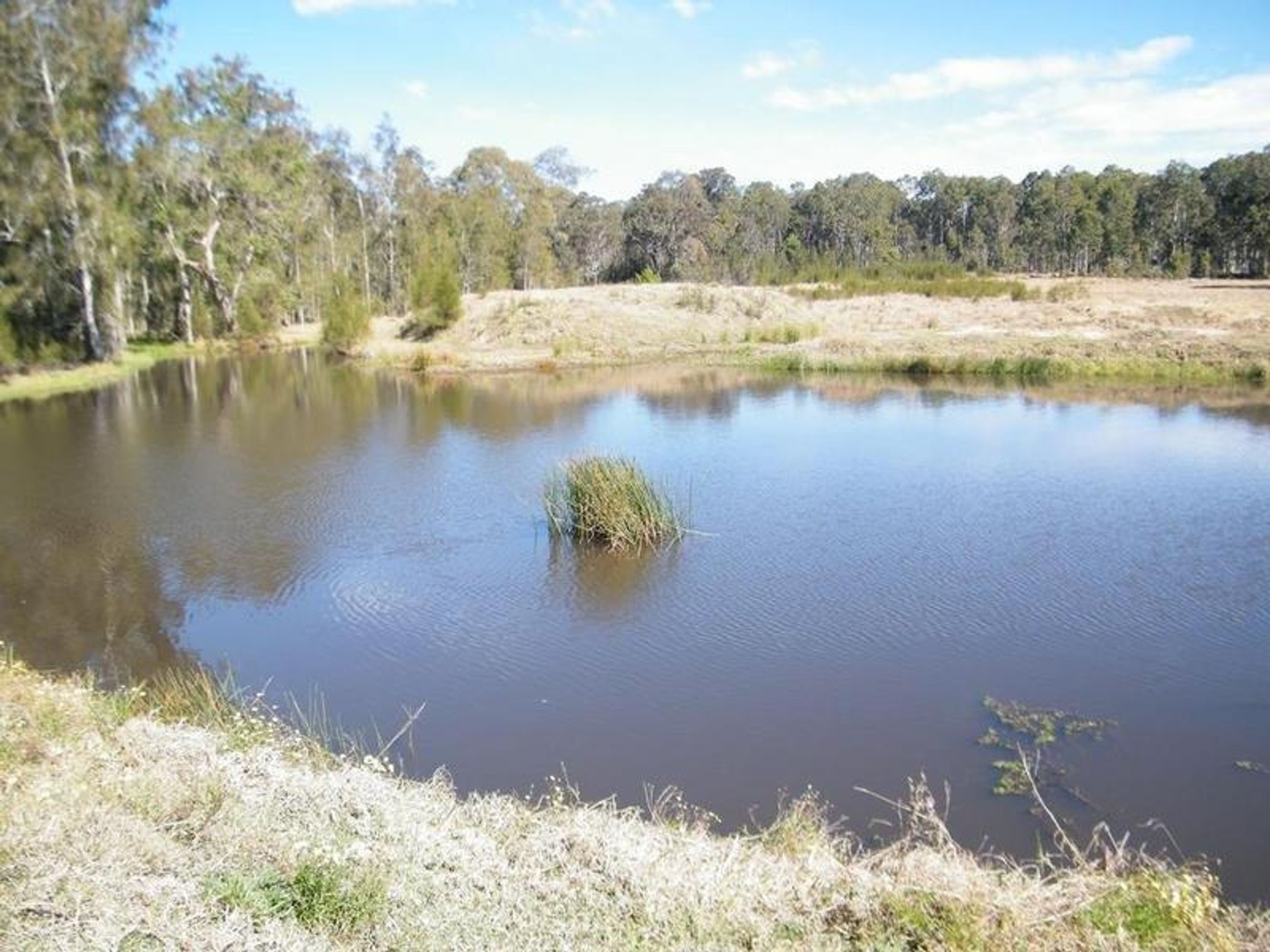 105 Casson Creek Road, Lavadia - Image 1