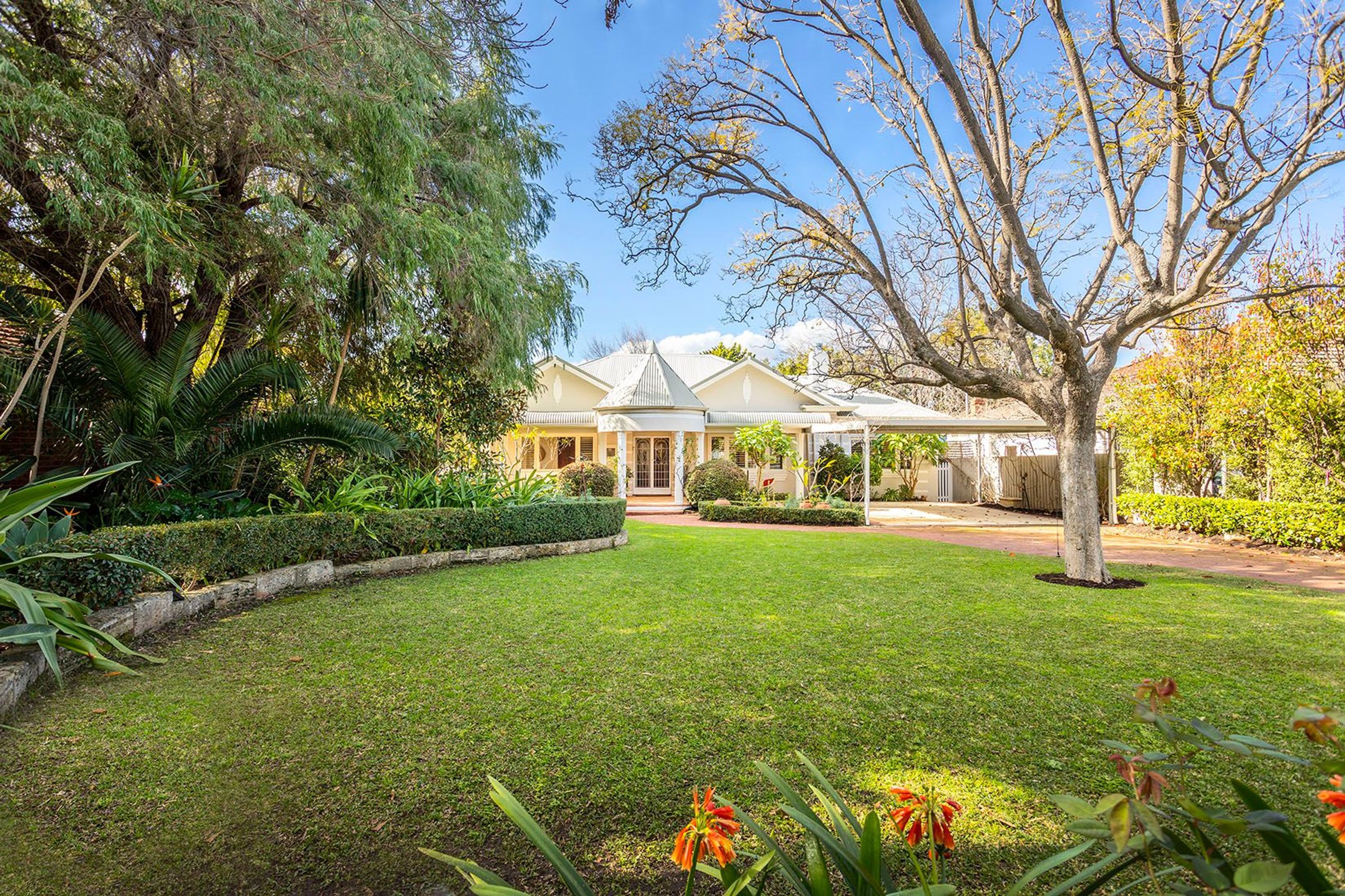 16 Mountjoy Road, Nedlands - Thumbnail 4