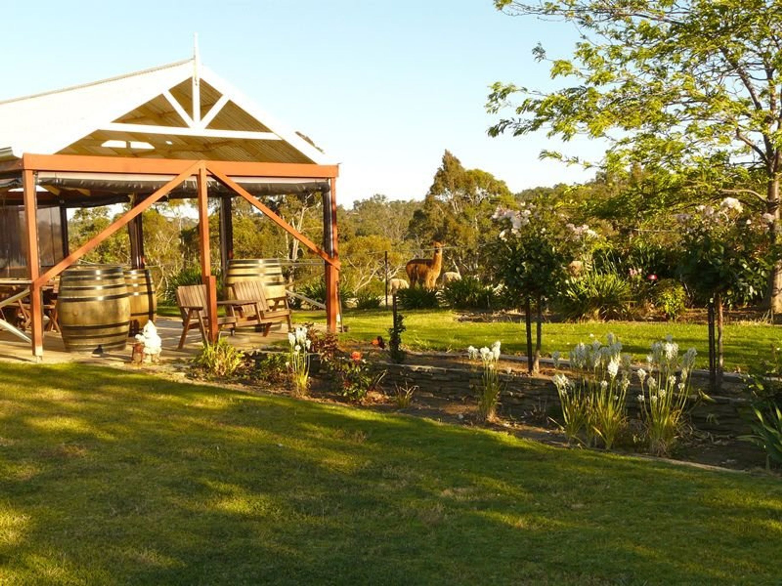 353A Dashwood Gully Road, Kangarilla SA 5157, Kangarilla - Thumbnail 7