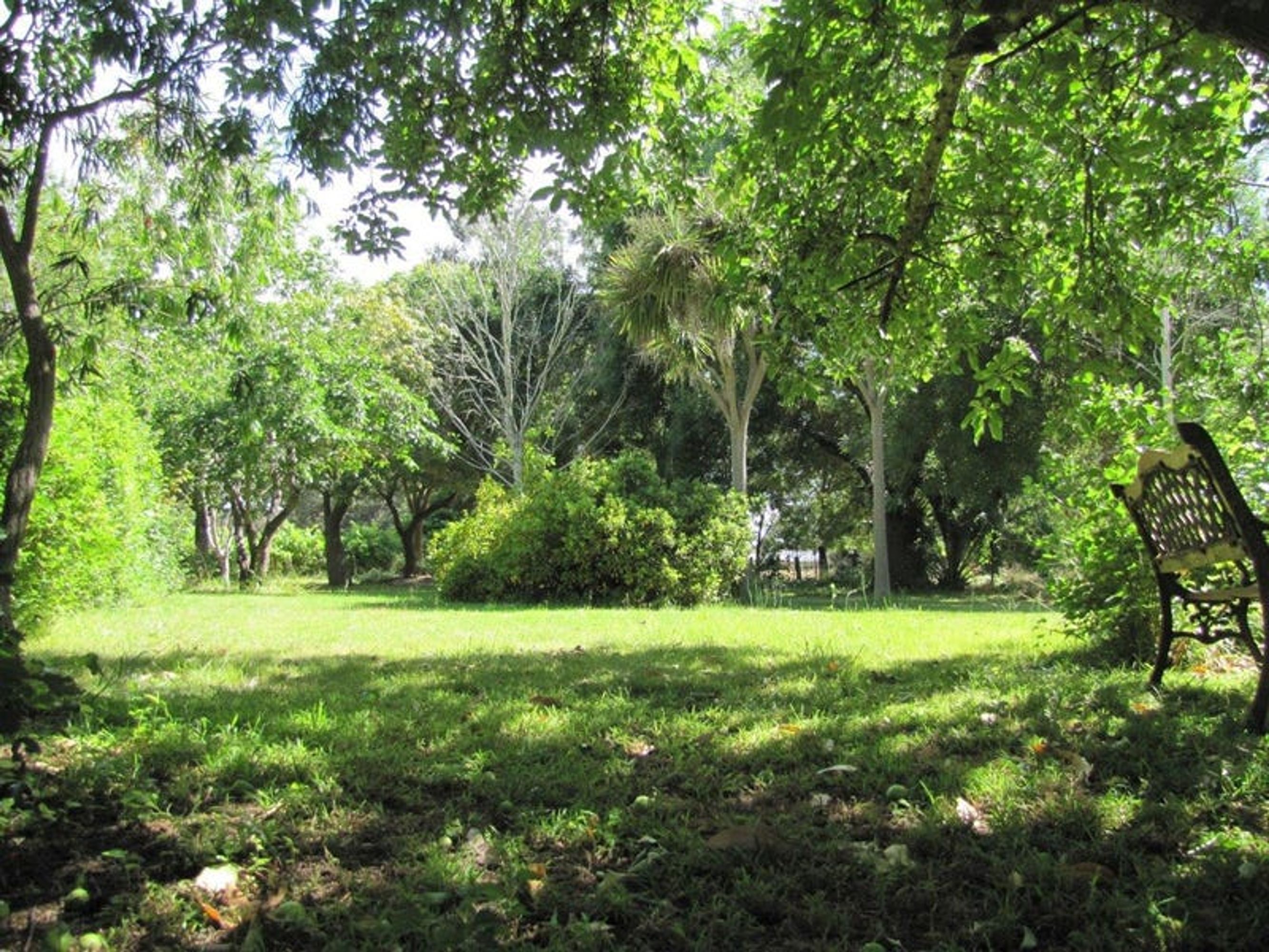 Lot 503, 12 Searle Street, Macclesfield, SA 5153, Macclesfield - Thumbnail 3