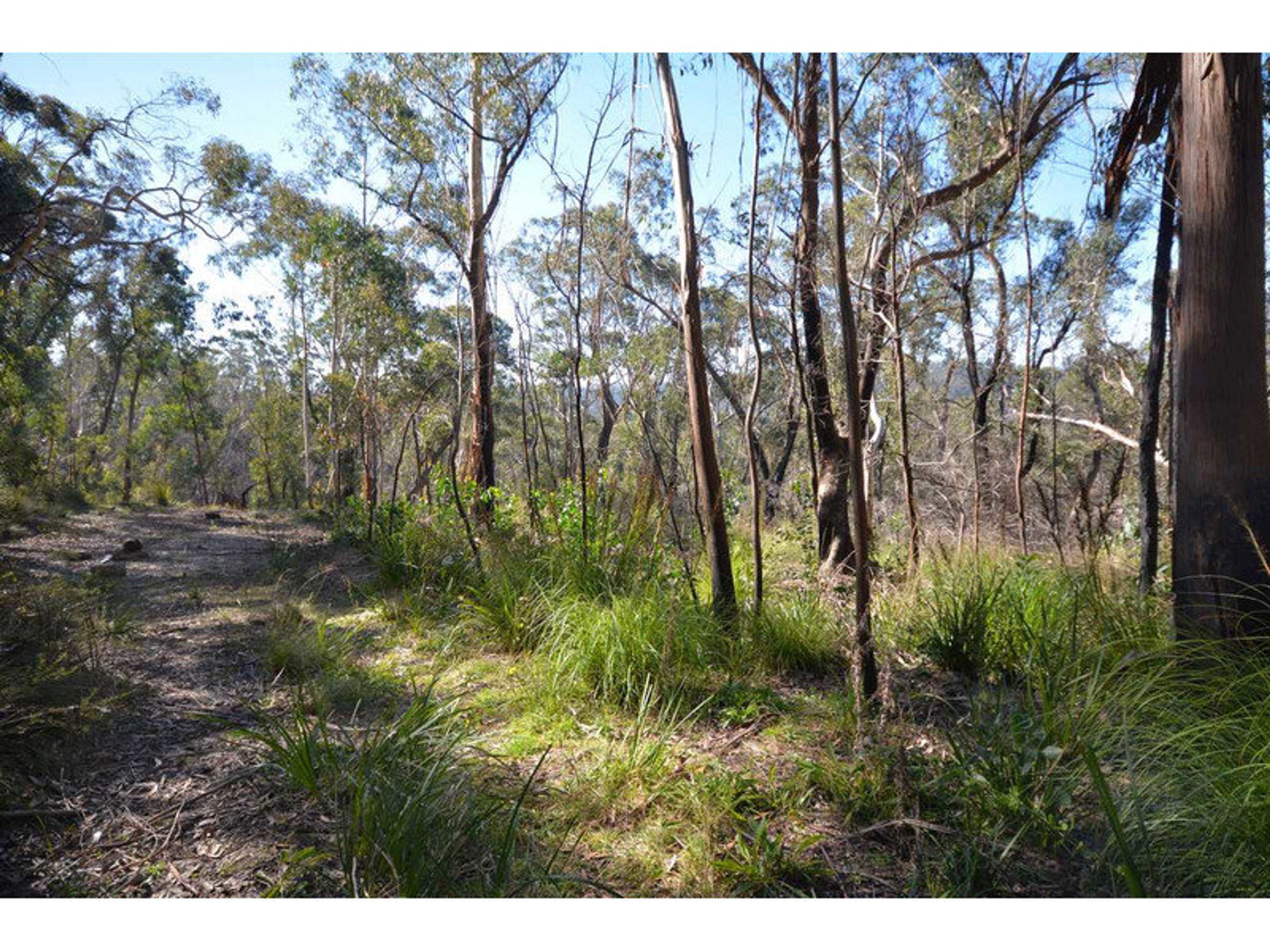 9 Balmoral Road, Mount Victoria - Thumbnail 5