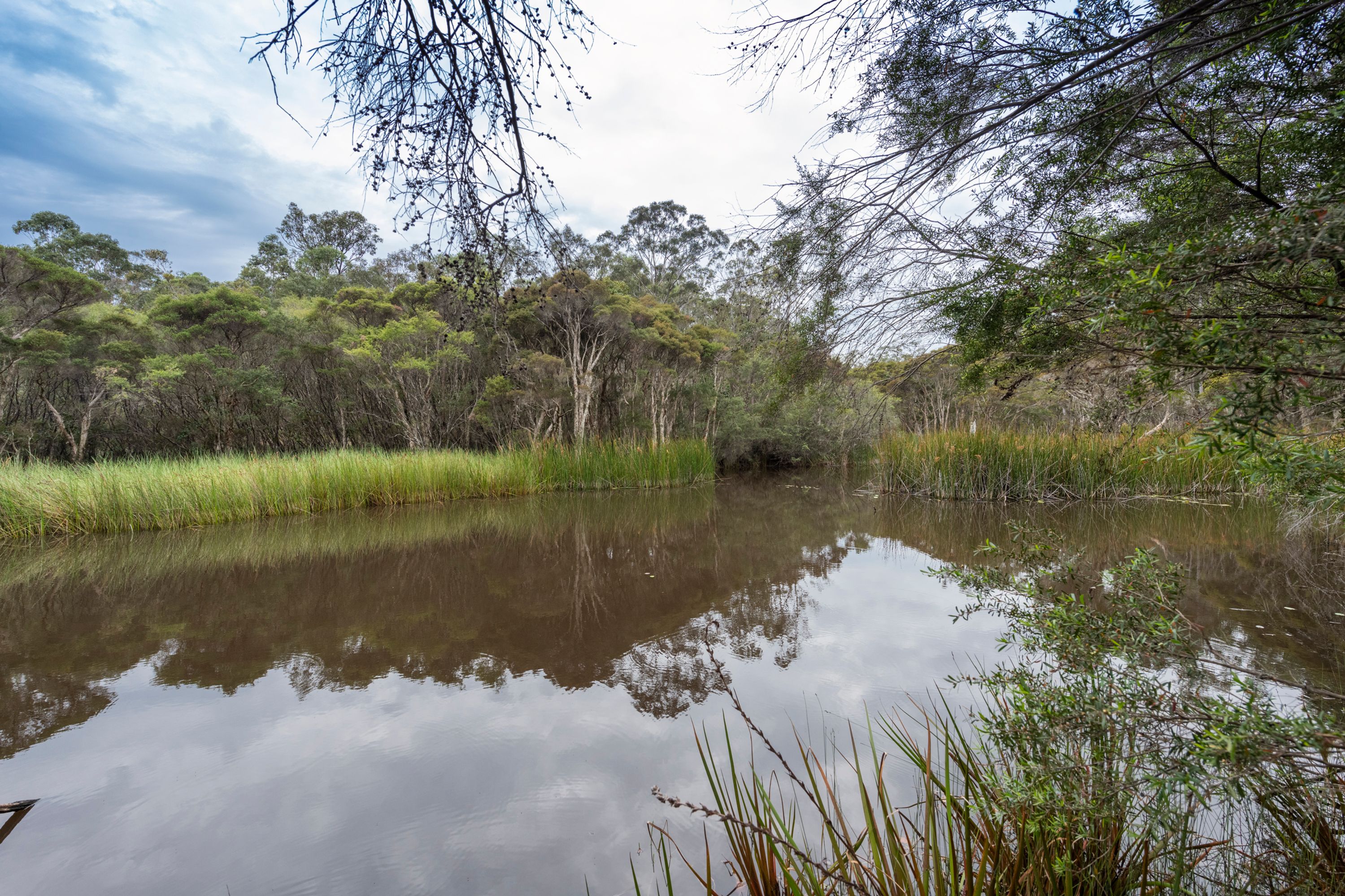 391 Dinjerra Road, Glenugie - Thumbnail 3