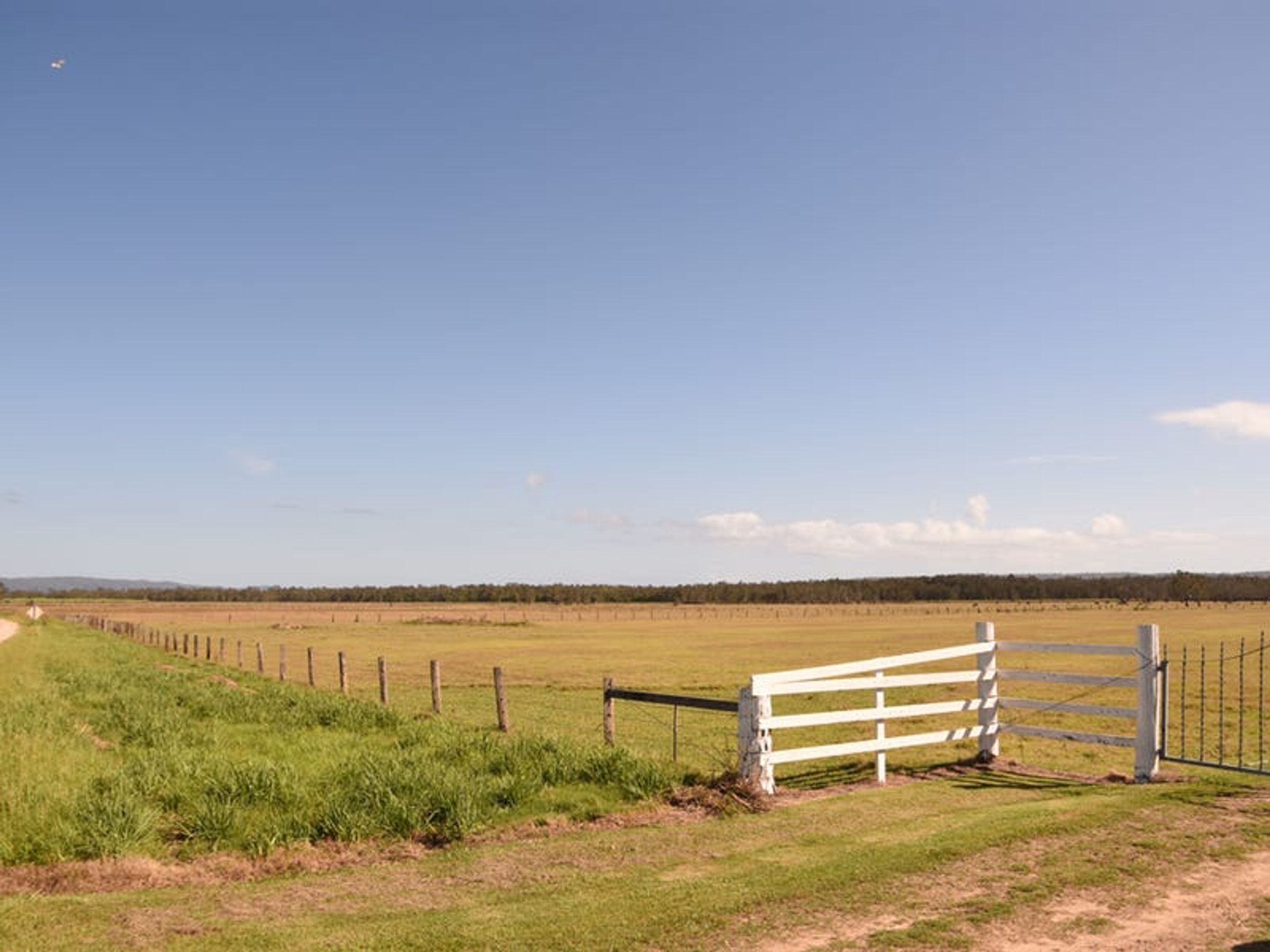 Lot 21, 470 Kings Creek Road, Lawrence - Thumbnail 5