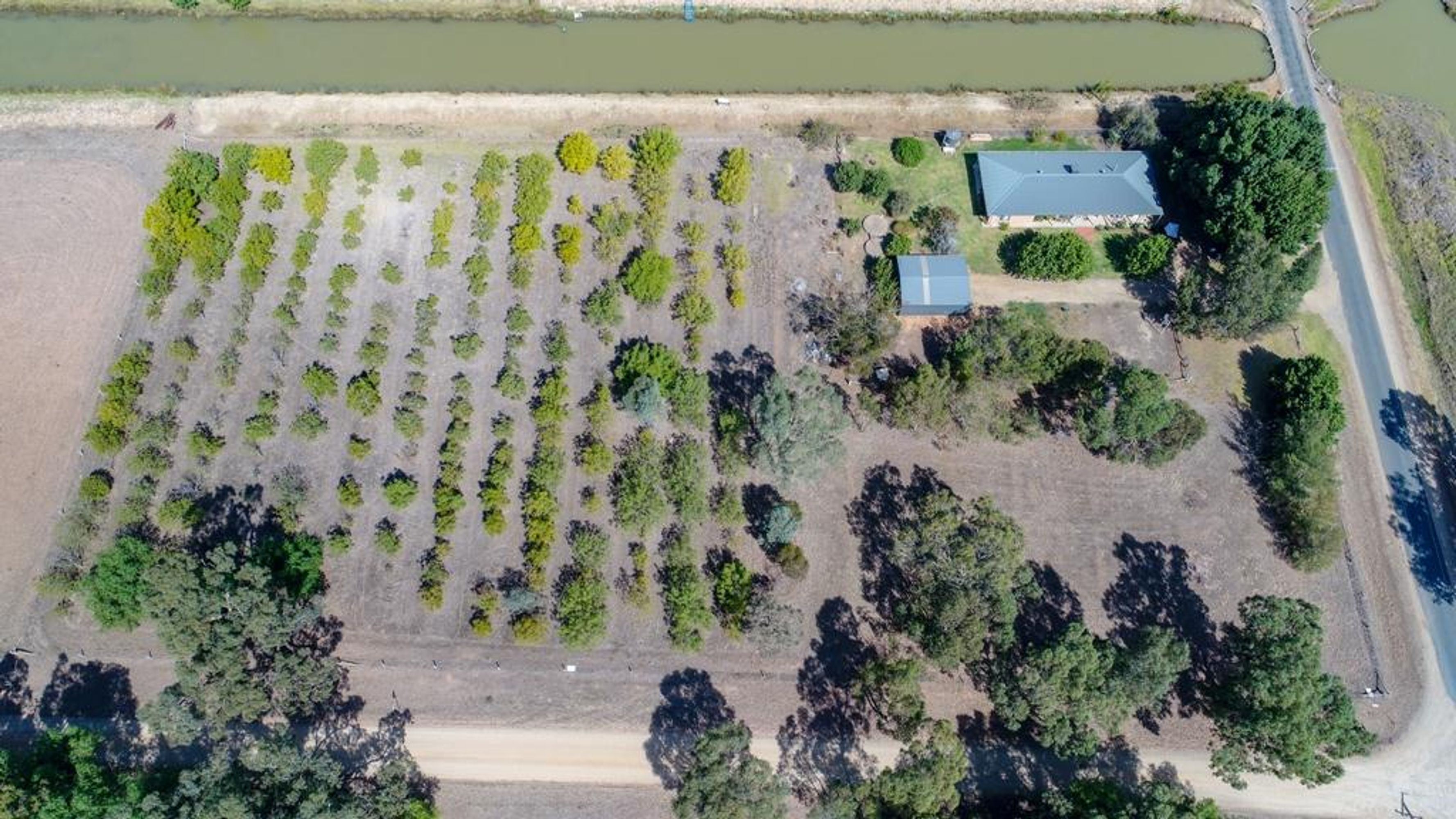 1501 Boals Road, Numurkah - Thumbnail 3