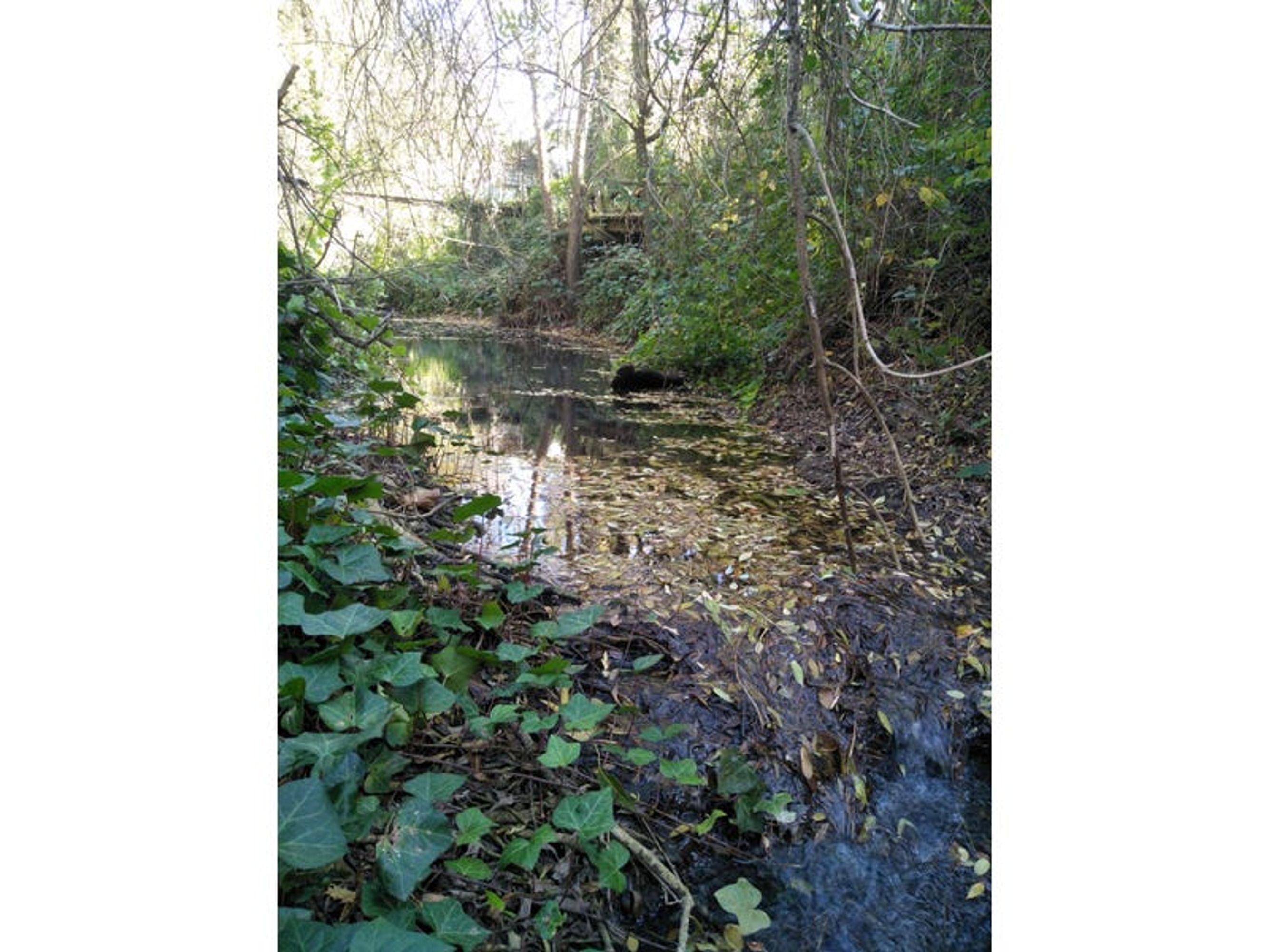 Lot 508, 12 Searle Street, Macclesfield, SA 5153, Macclesfield - Thumbnail 4