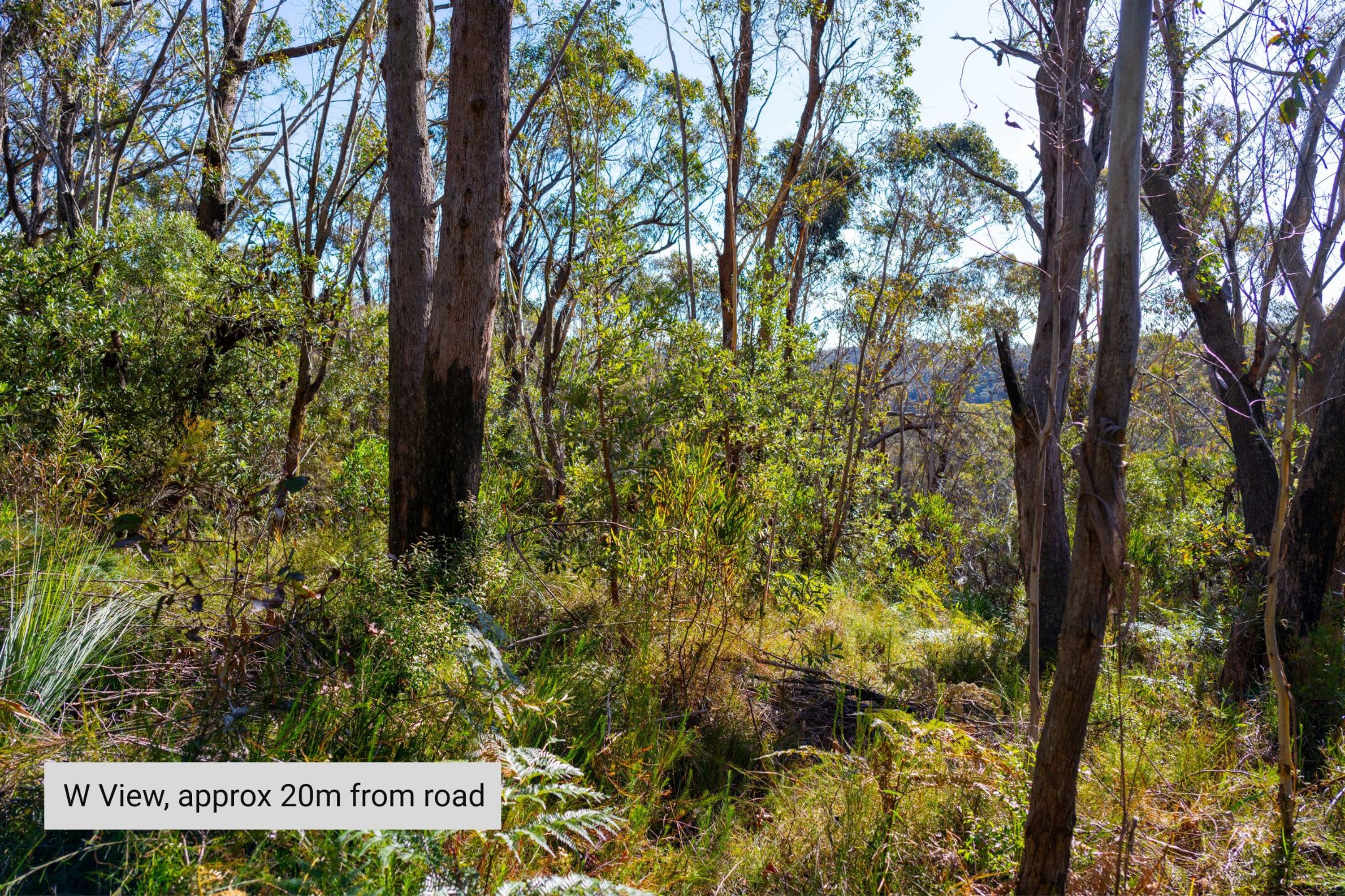 21 Explorers Road, Katoomba - Thumbnail 3