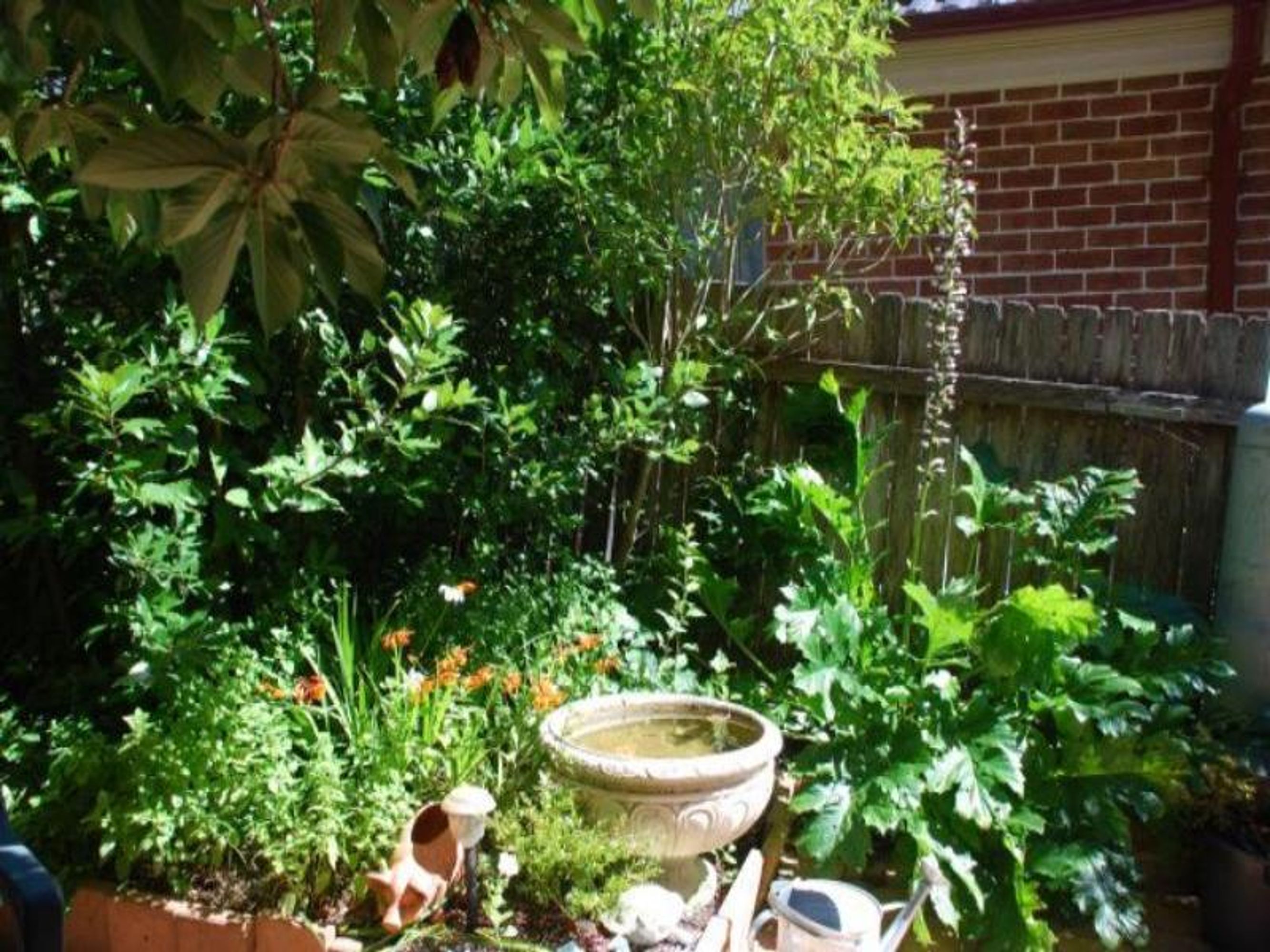 33 Martin St, Katoomba - Thumbnail 5